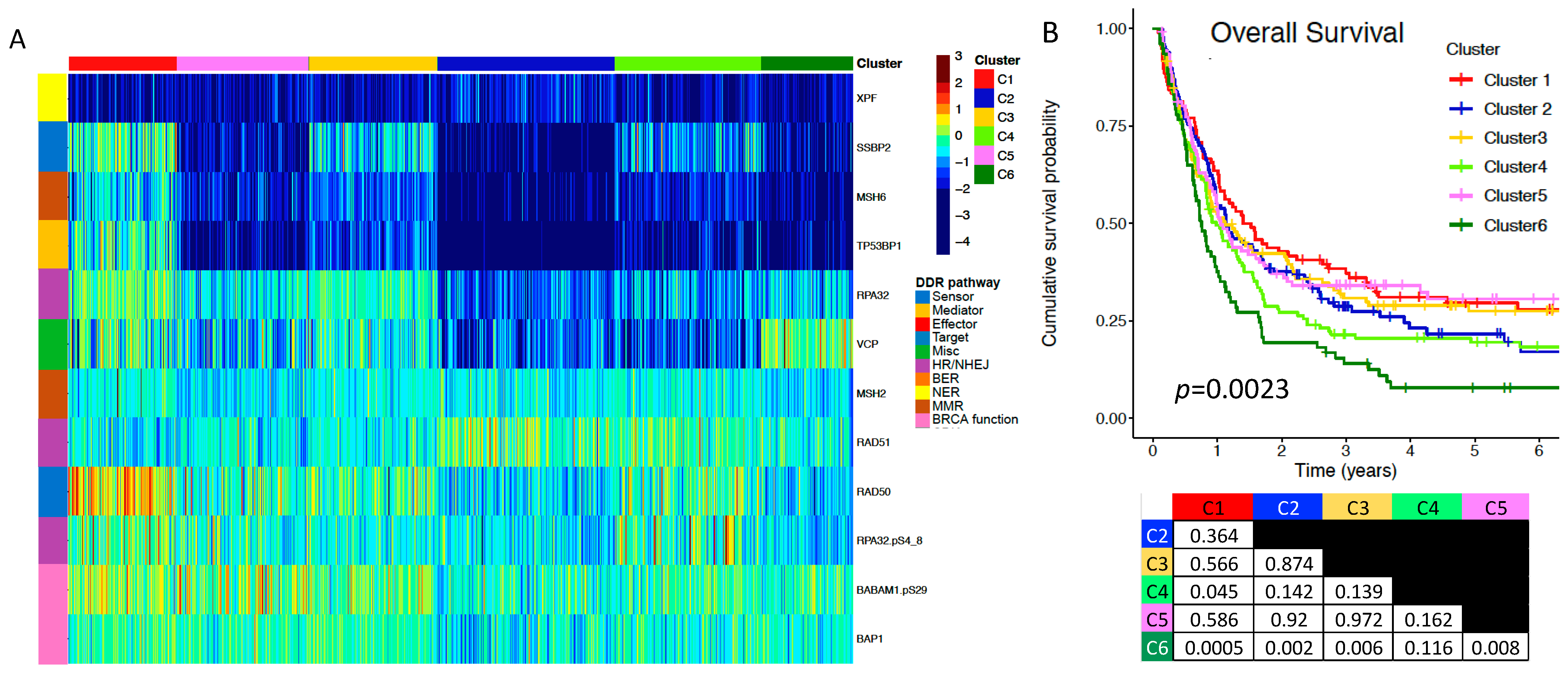 Ijms 24 05898 g002 Ijms 24 05898 g002