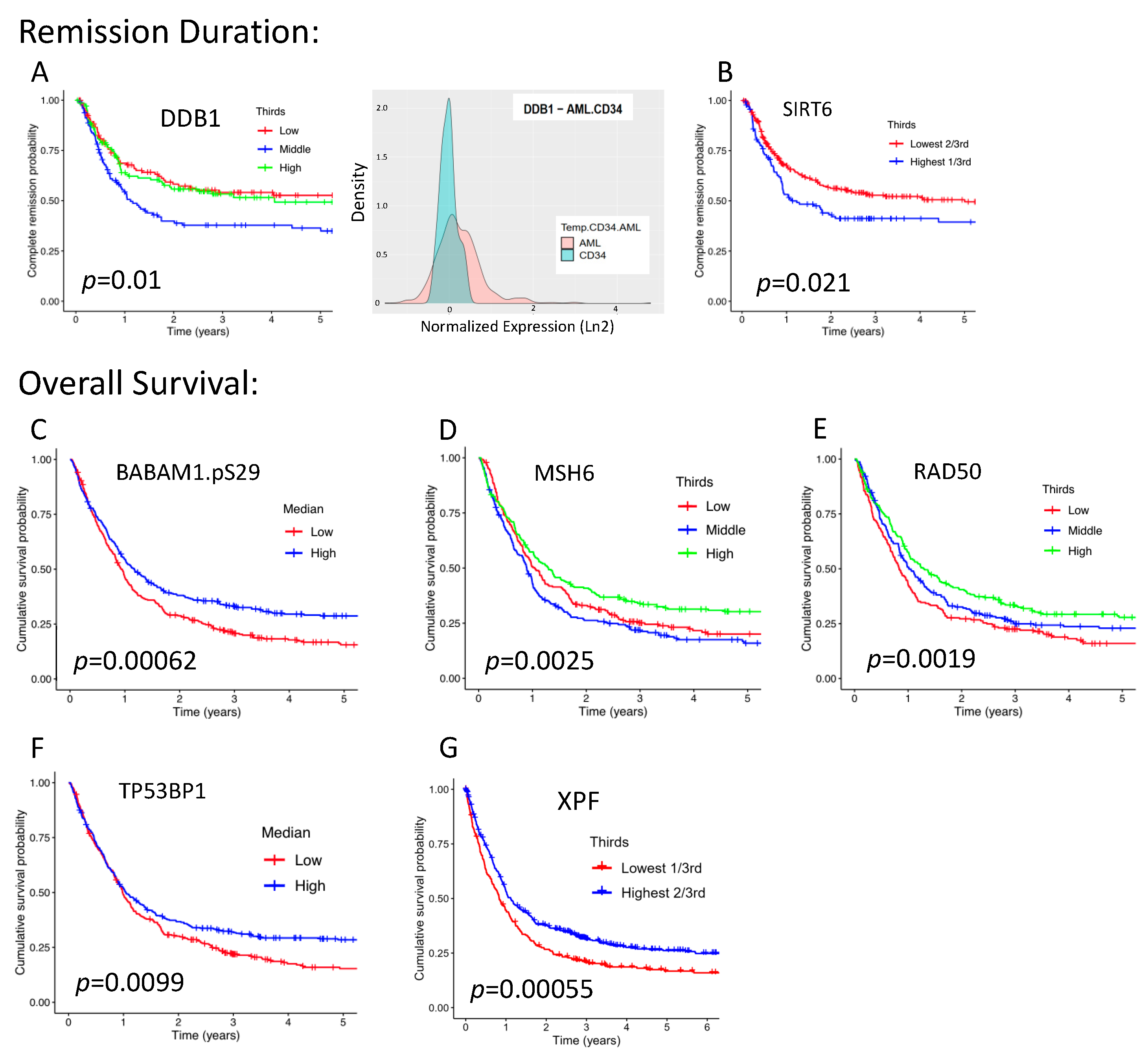 Ijms 24 05898 g003 Ijms 24 05898 g003