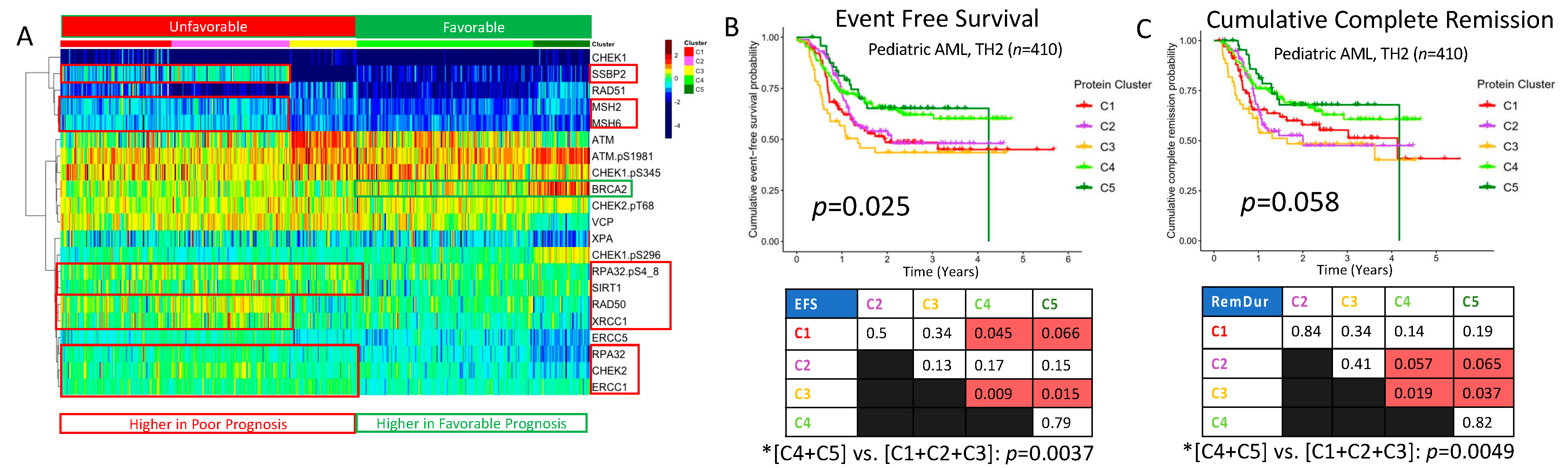 Ijms 24 05898 g006 Ijms 24 05898 g006