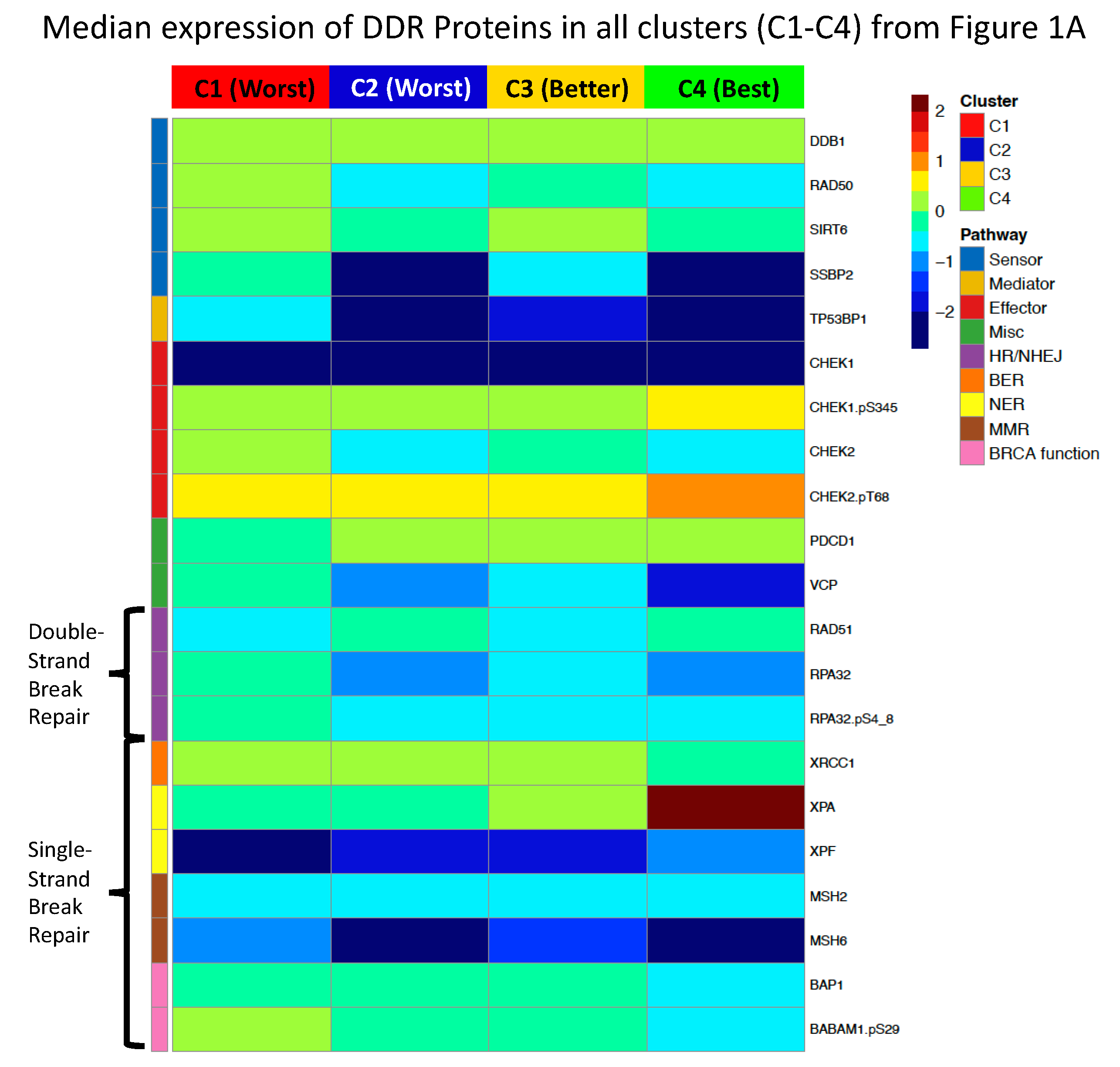 Ijms 24 05898 g007 Ijms 24 05898 g007