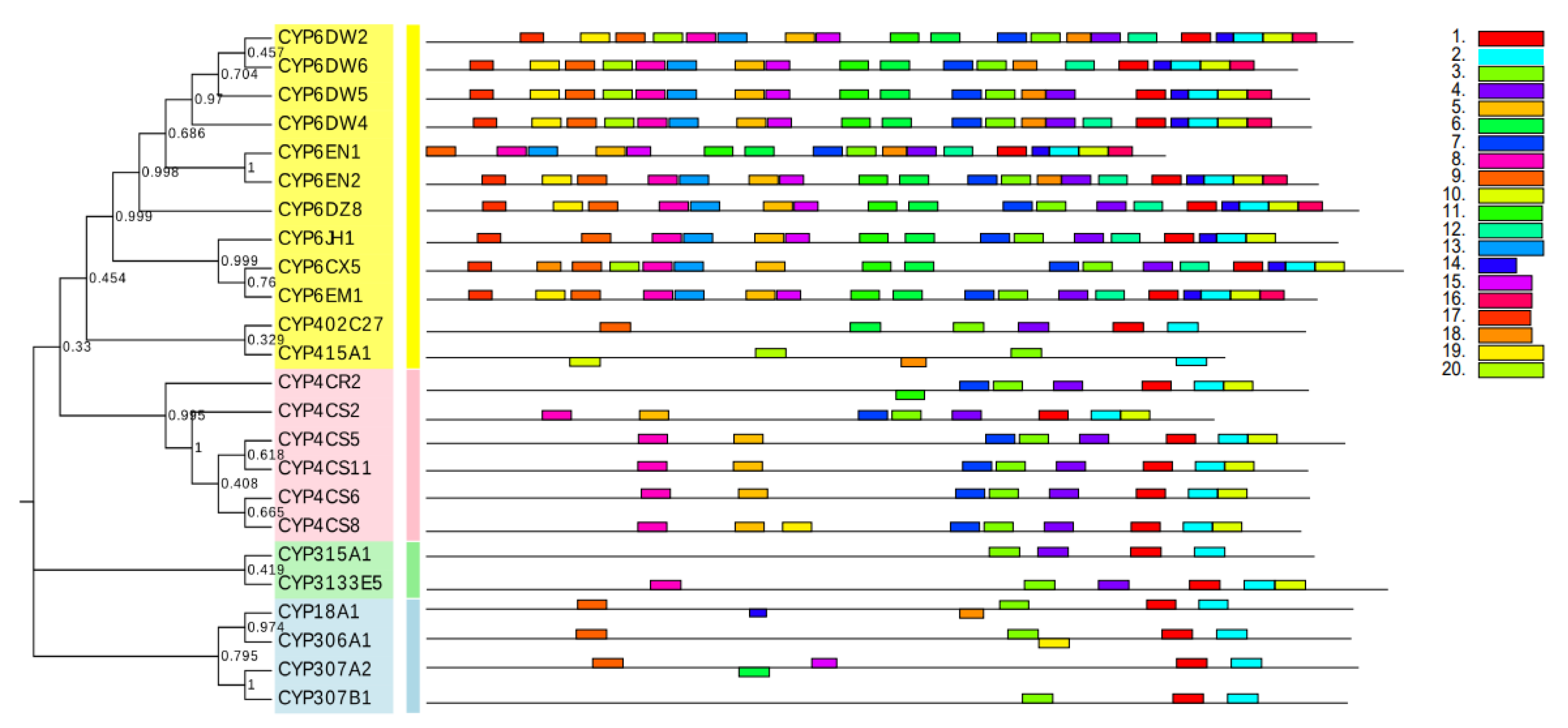 Ijms 24 05899 g002 Ijms 24 05899 g002