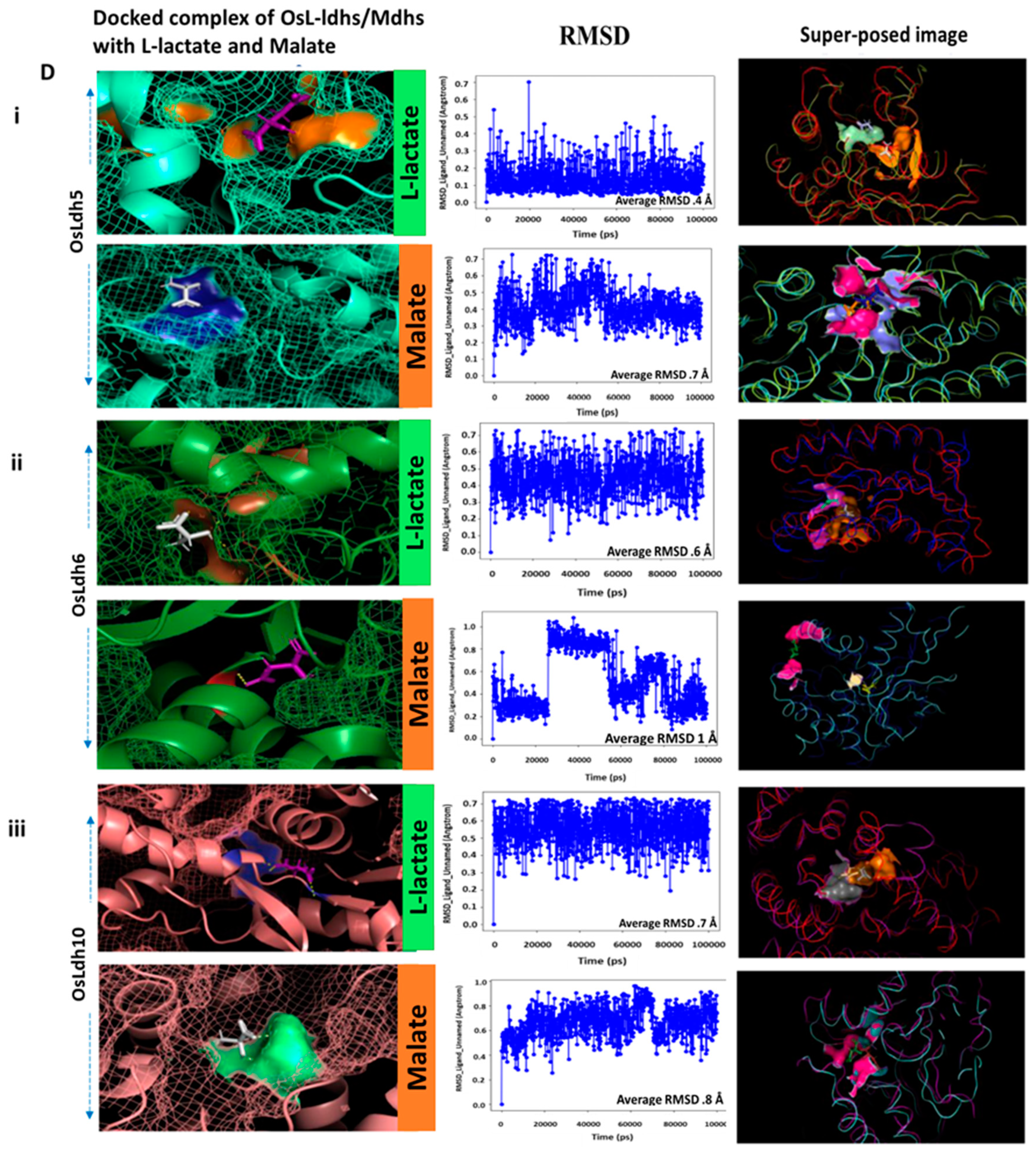 Ijms 24 05900 g007b Ijms 24 05900 g007b