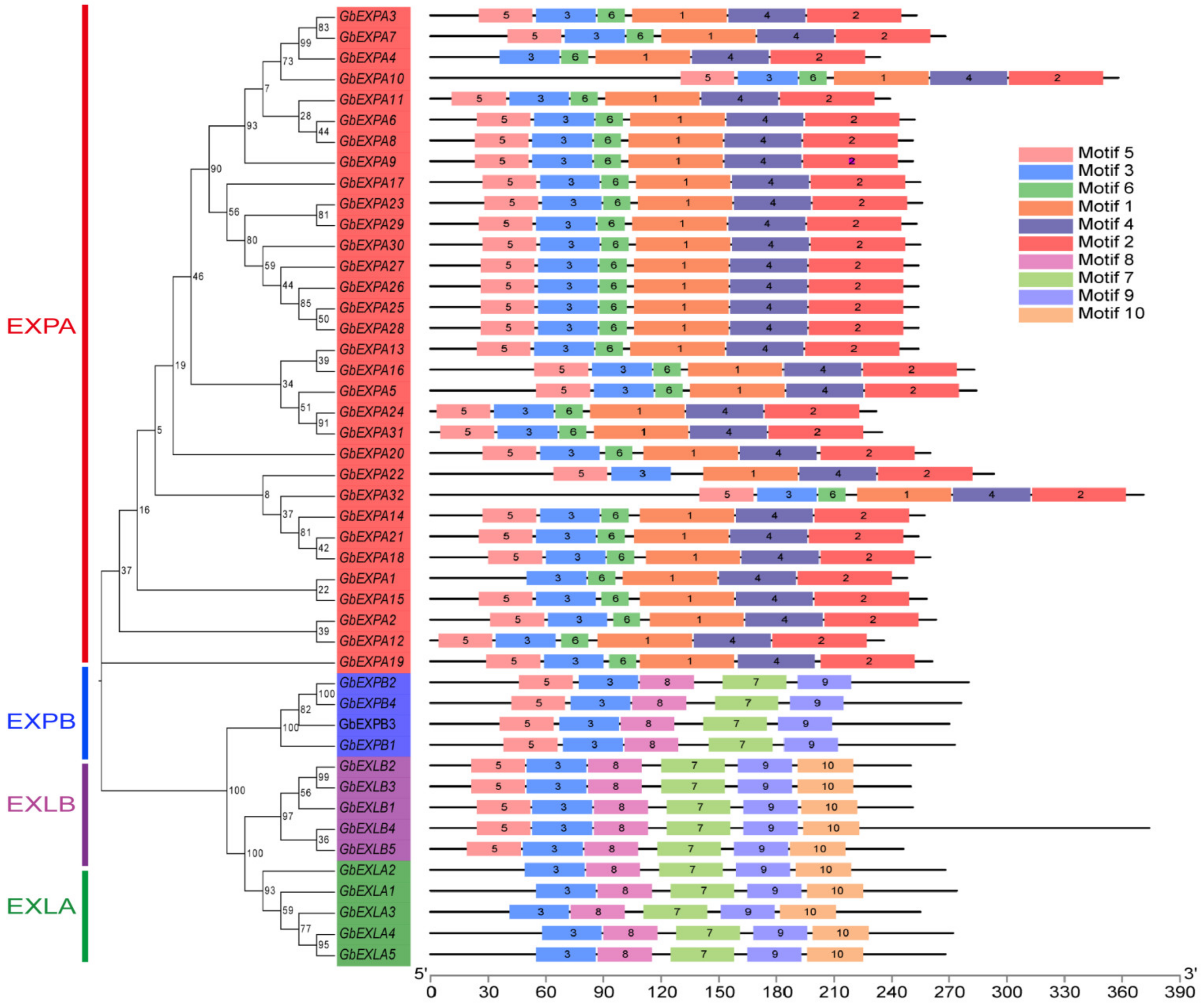 Ijms 24 05901 g003 Ijms 24 05901 g003