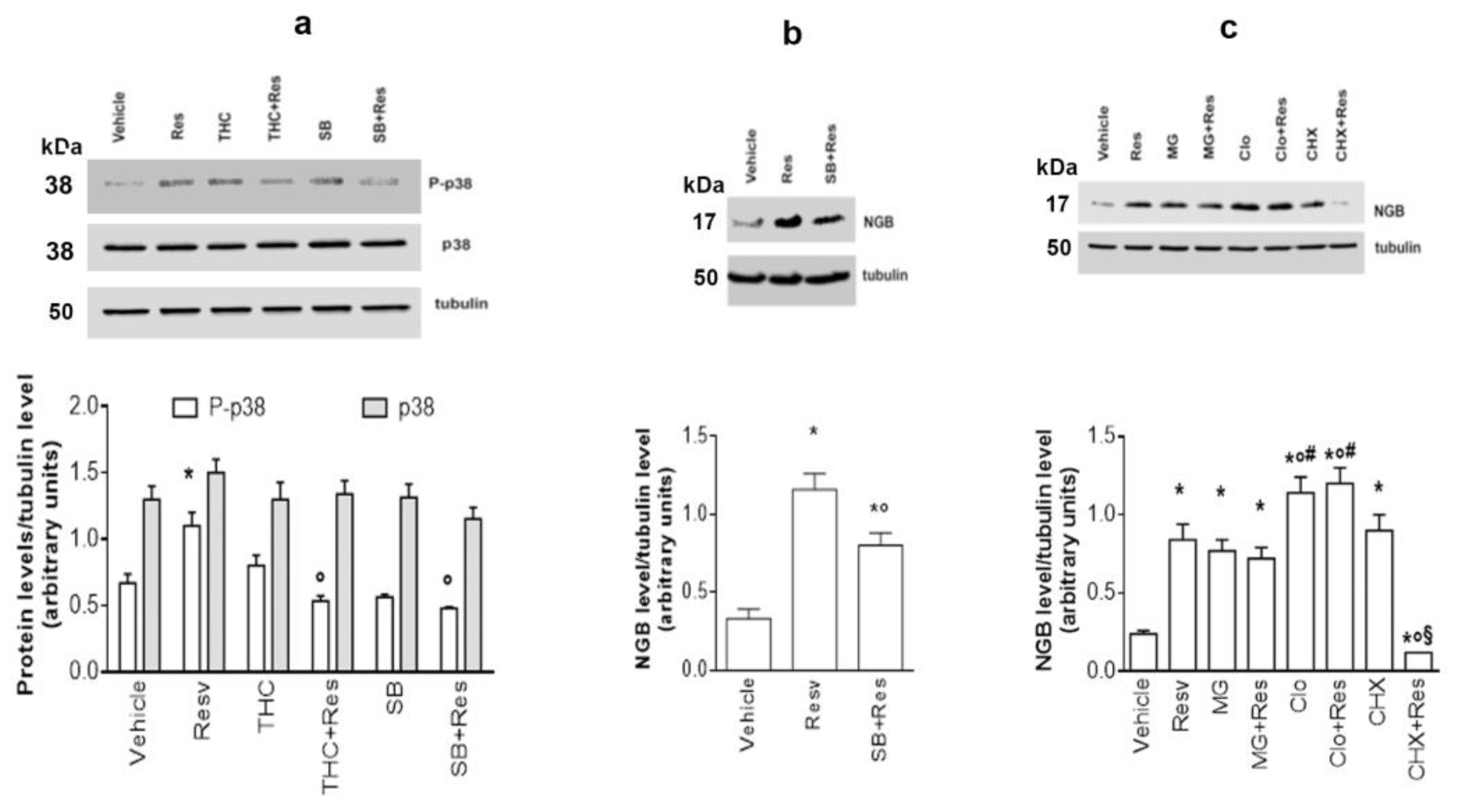 Ijms 24 05903 g003 Ijms 24 05903 g003