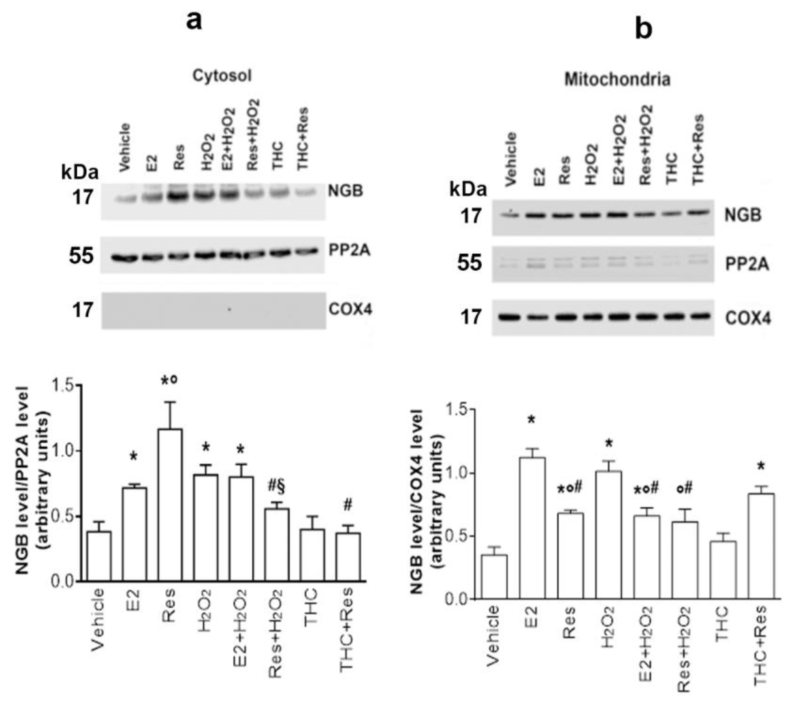 Ijms 24 05903 g004 Ijms 24 05903 g004