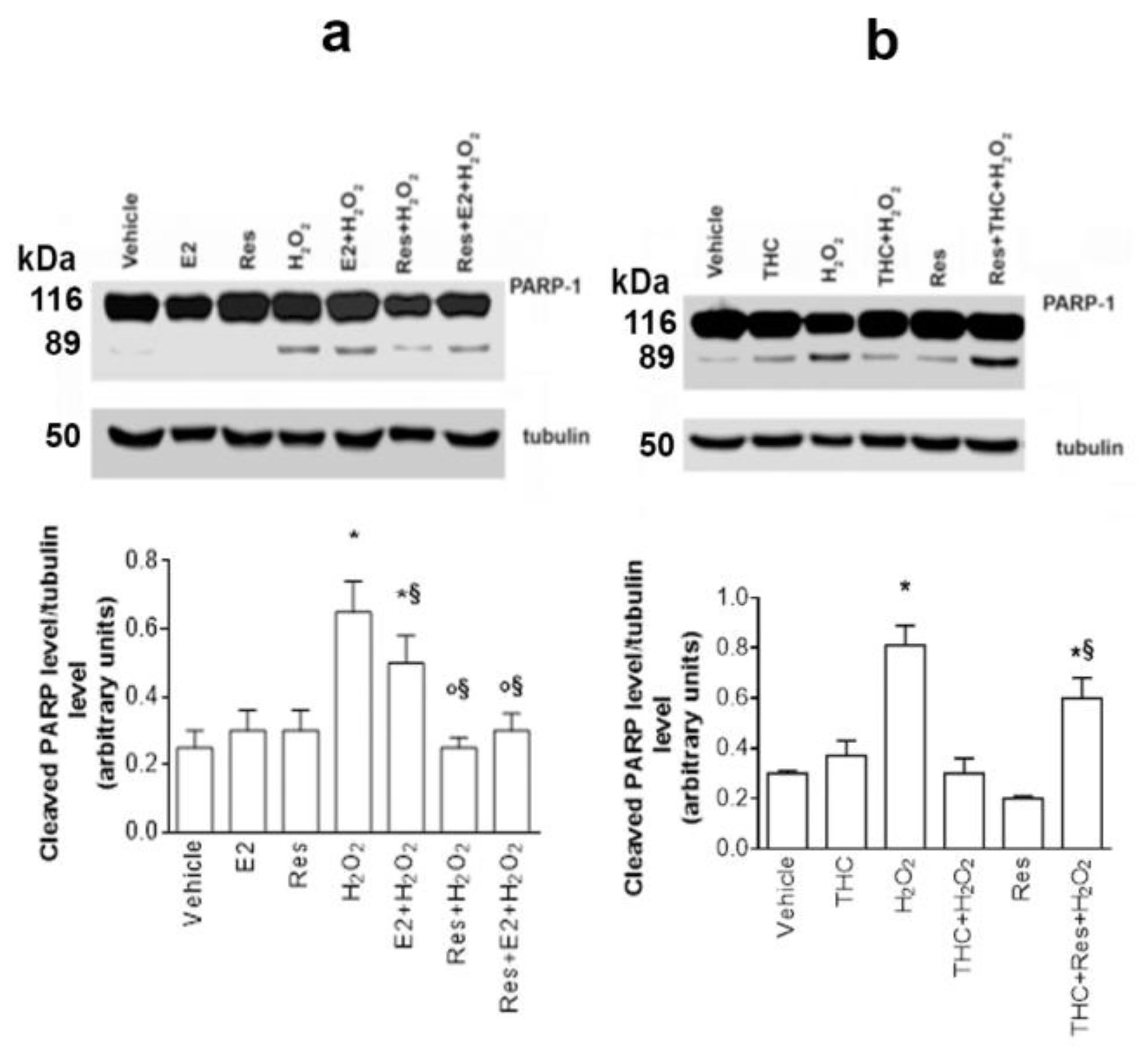 Ijms 24 05903 g007 Ijms 24 05903 g007