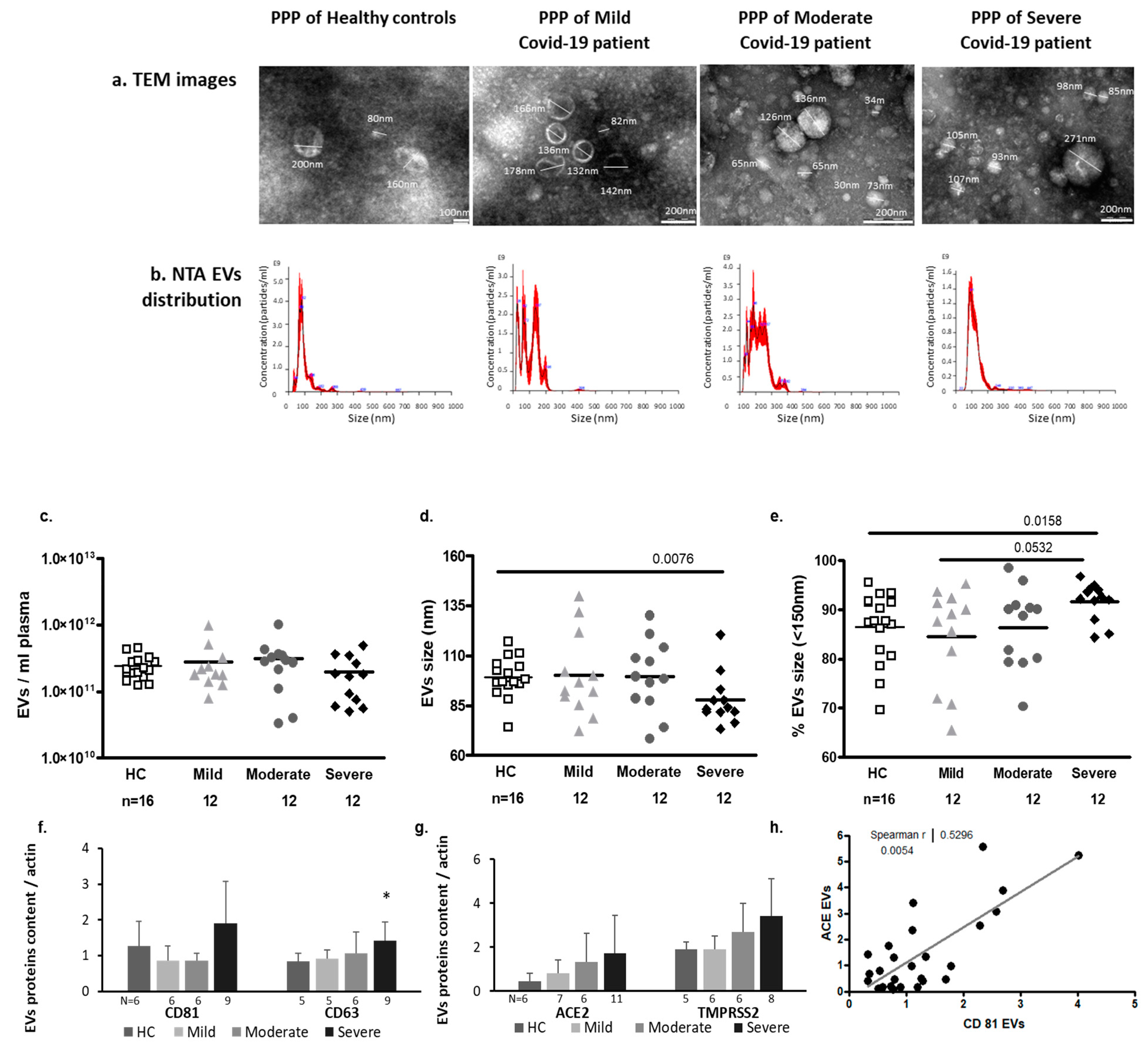 Ijms 24 05918 g002 Ijms 24 05918 g002