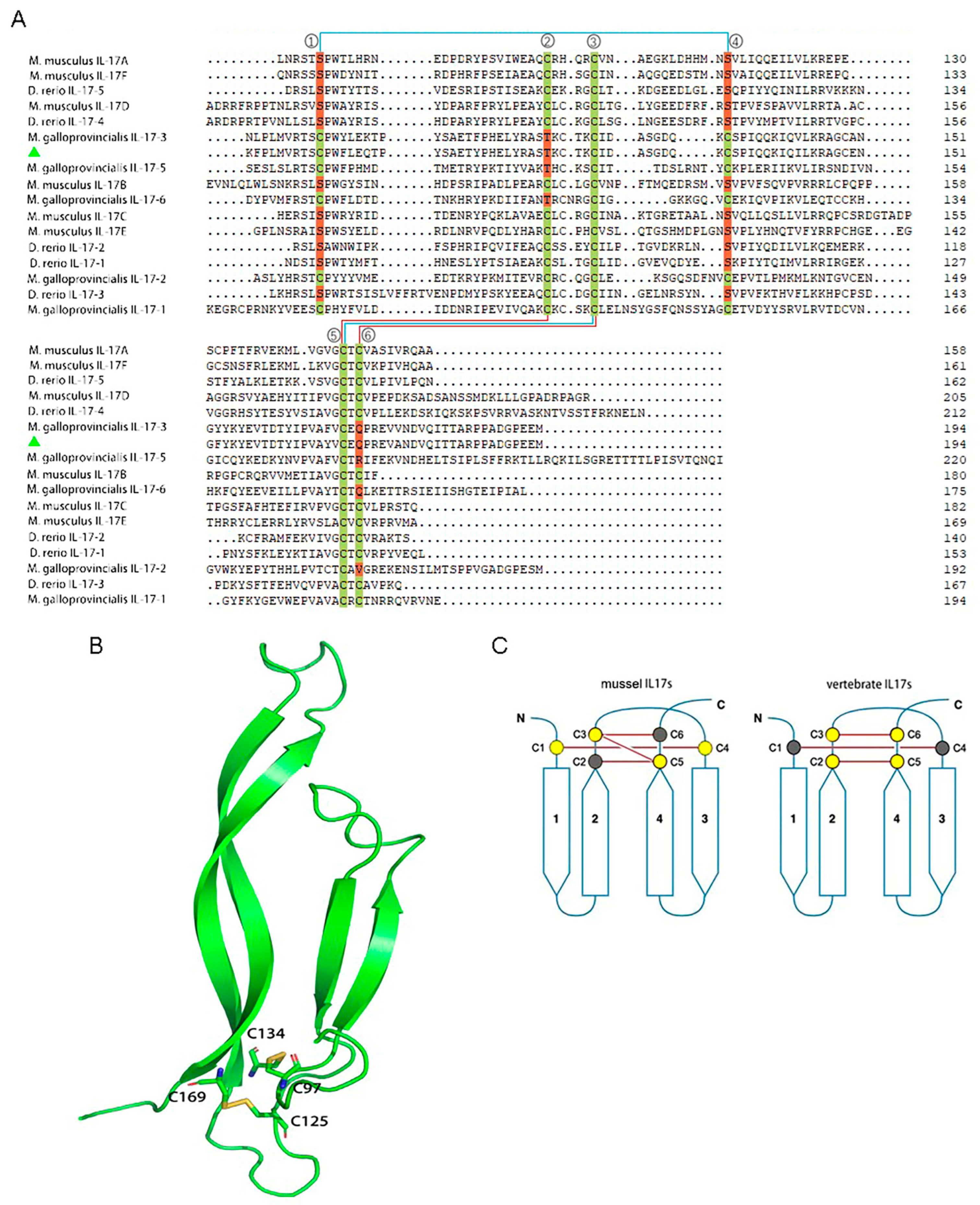 Ijms 24 05928 g002 Ijms 24 05928 g002