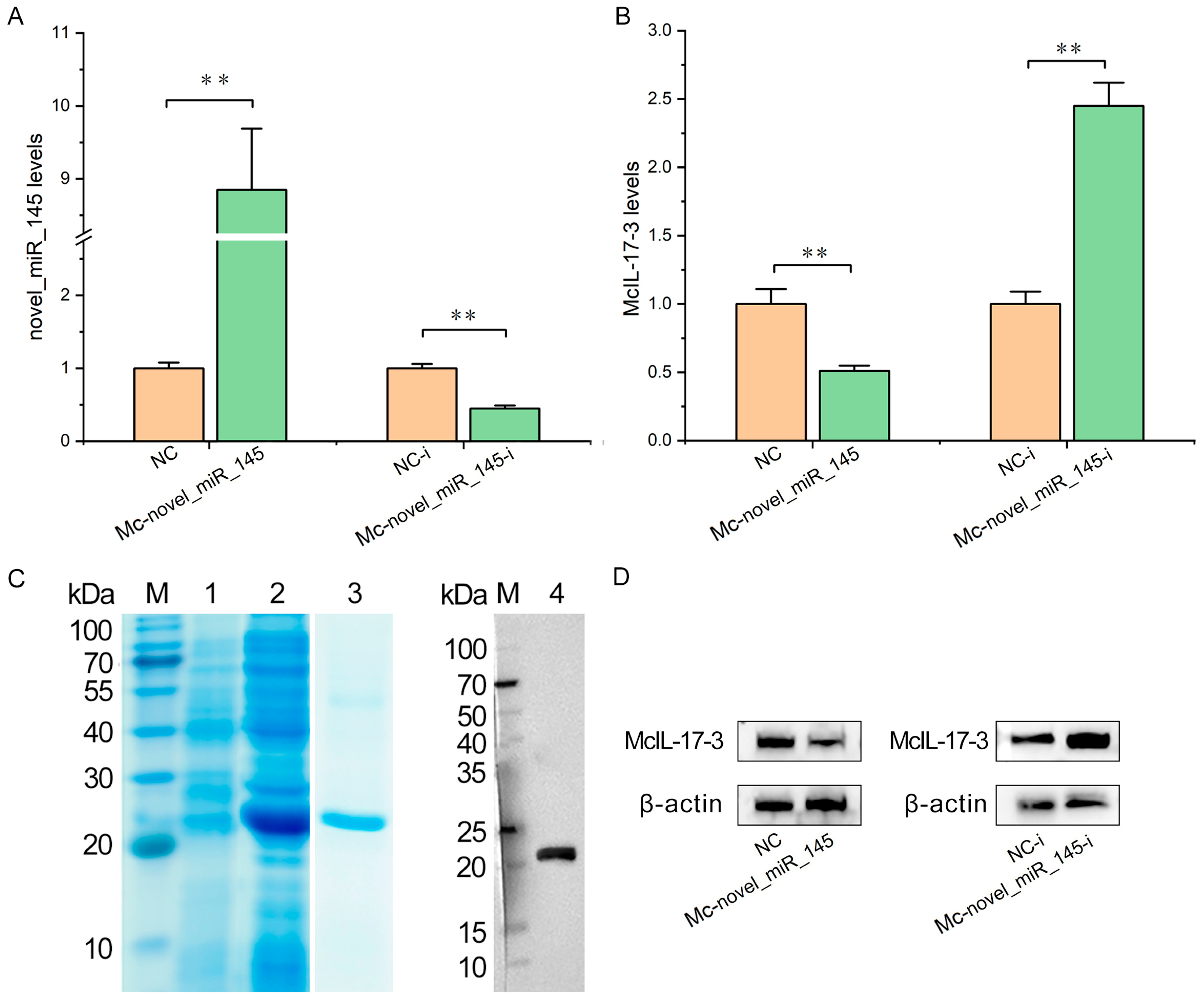 Ijms 24 05928 g006 Ijms 24 05928 g006