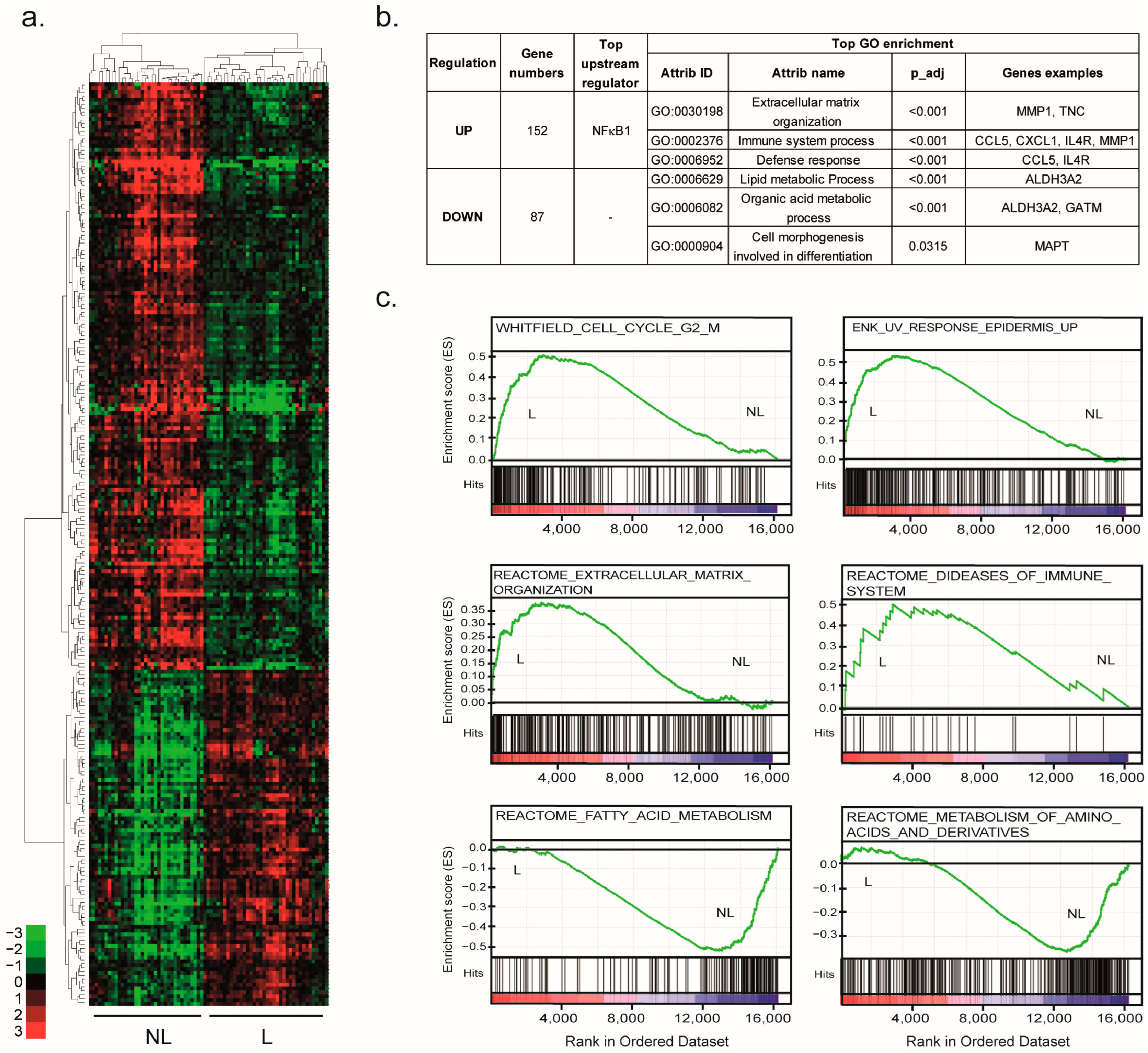 Ijms 24 05937 g002 Ijms 24 05937 g002