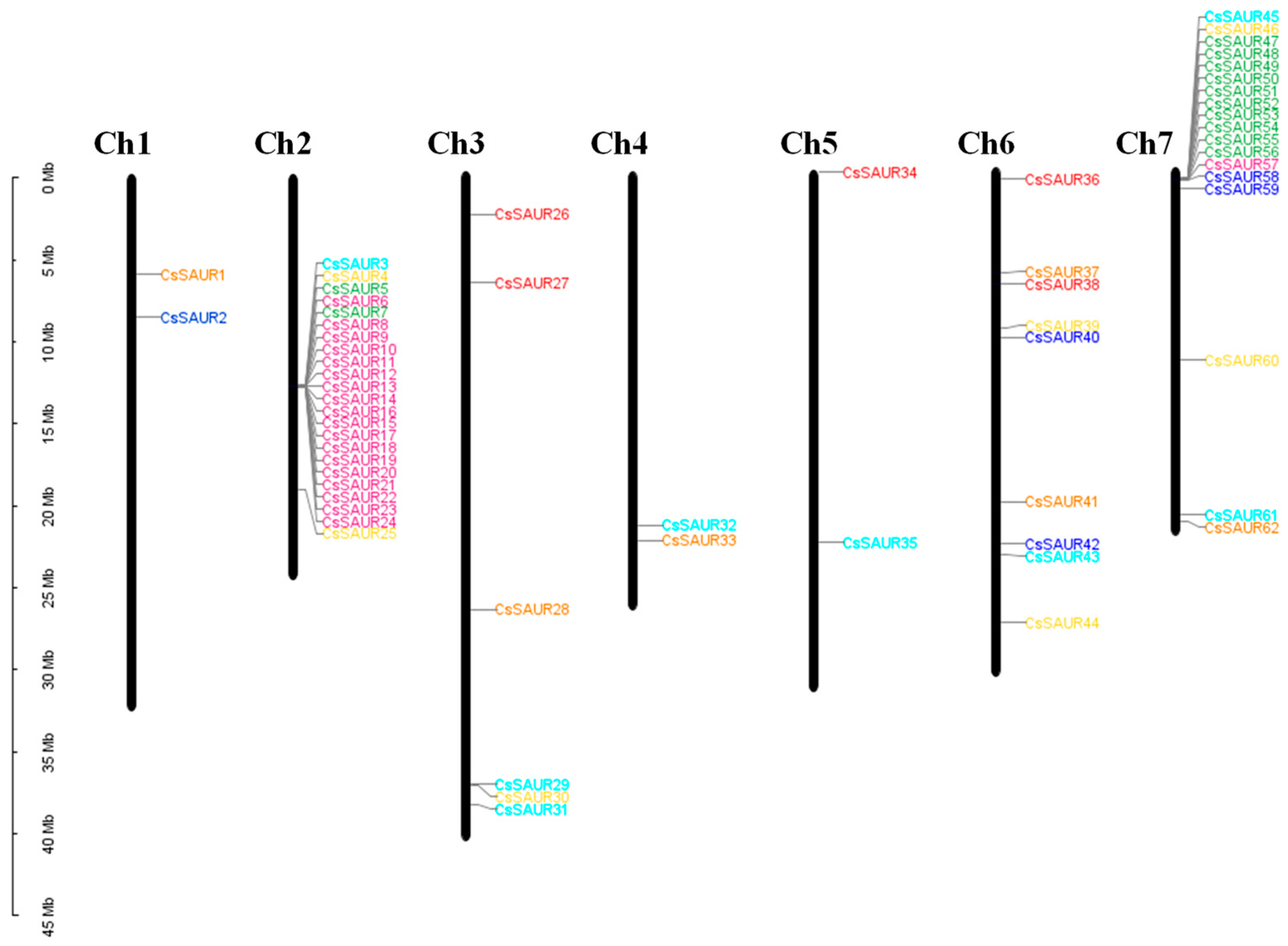 Ijms 24 05940 g002 Ijms 24 05940 g002