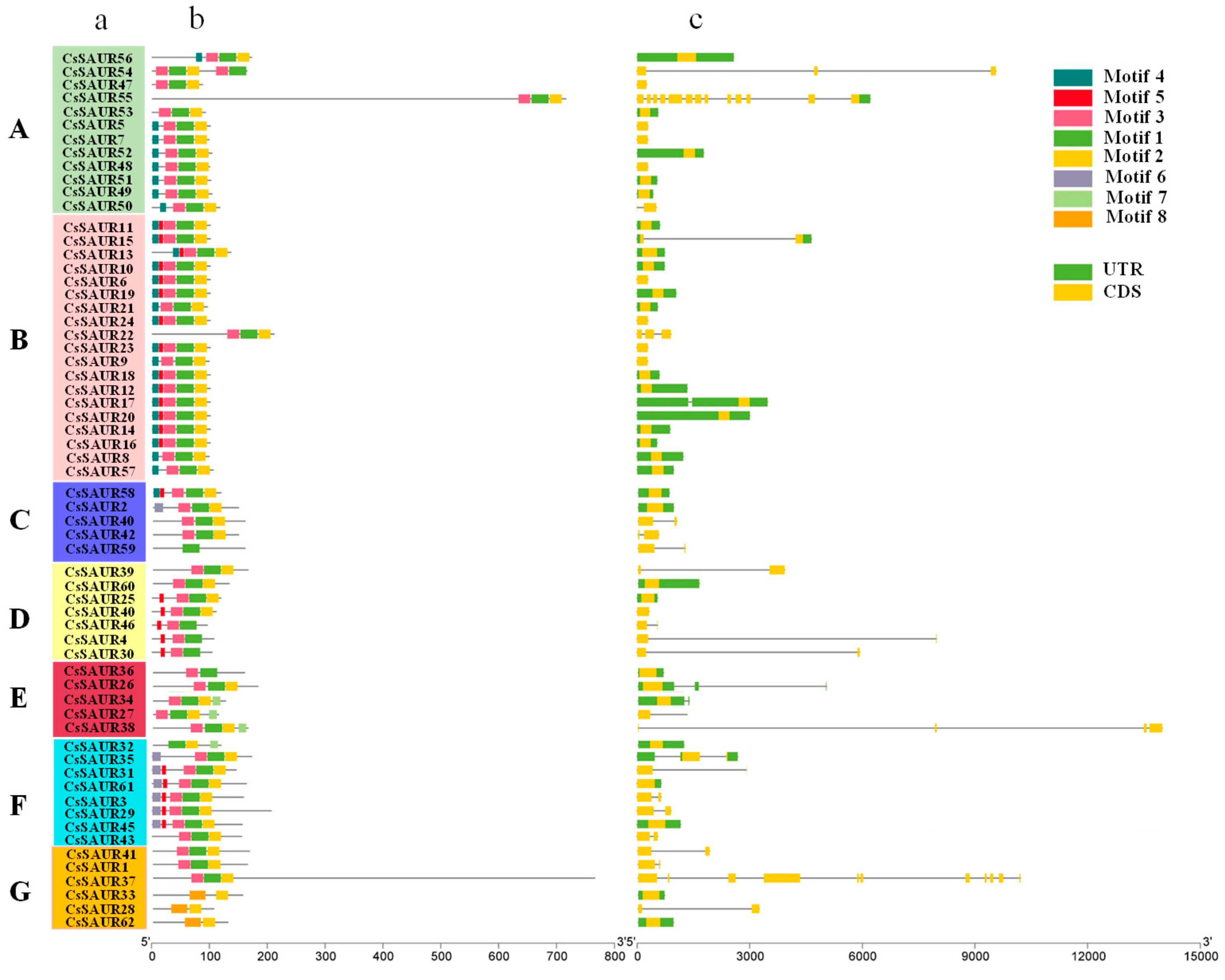 Ijms 24 05940 g003 Ijms 24 05940 g003