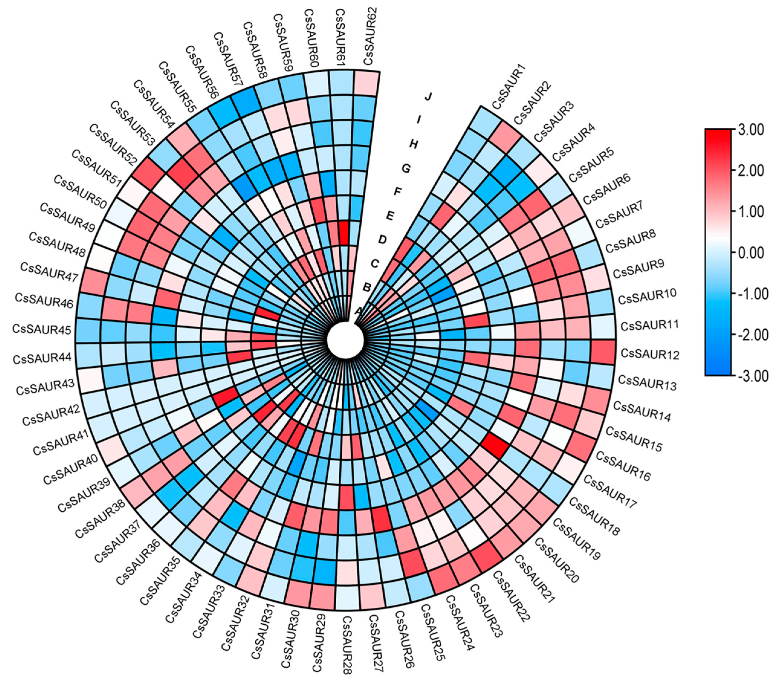 Ijms 24 05940 g005 Ijms 24 05940 g005