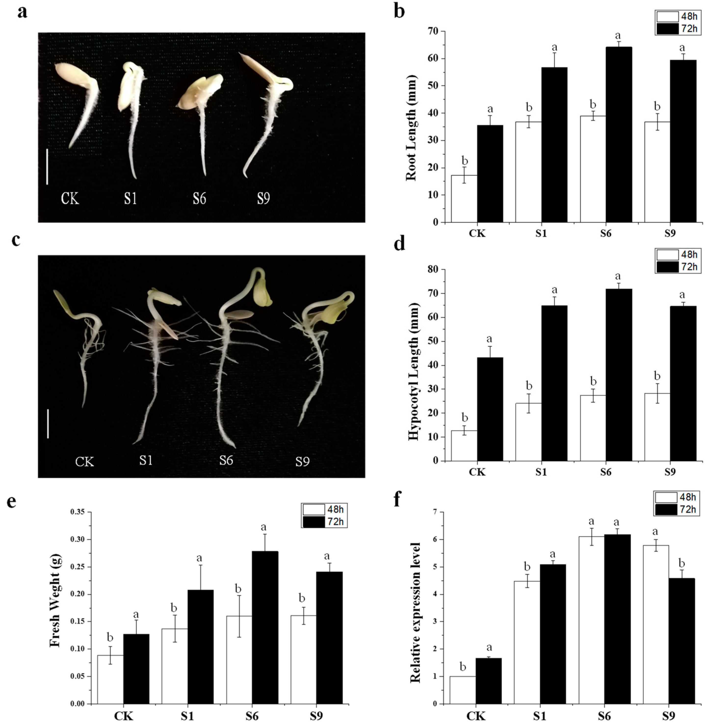 Ijms 24 05940 g007 Ijms 24 05940 g007