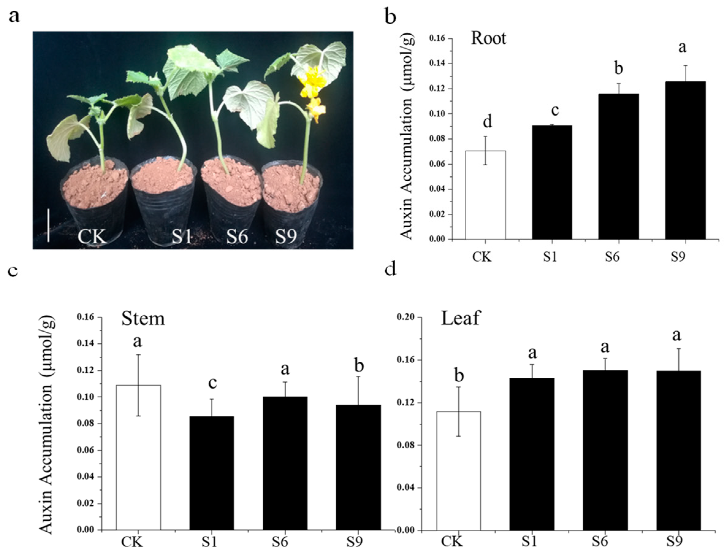 Ijms 24 05940 g008 Ijms 24 05940 g008