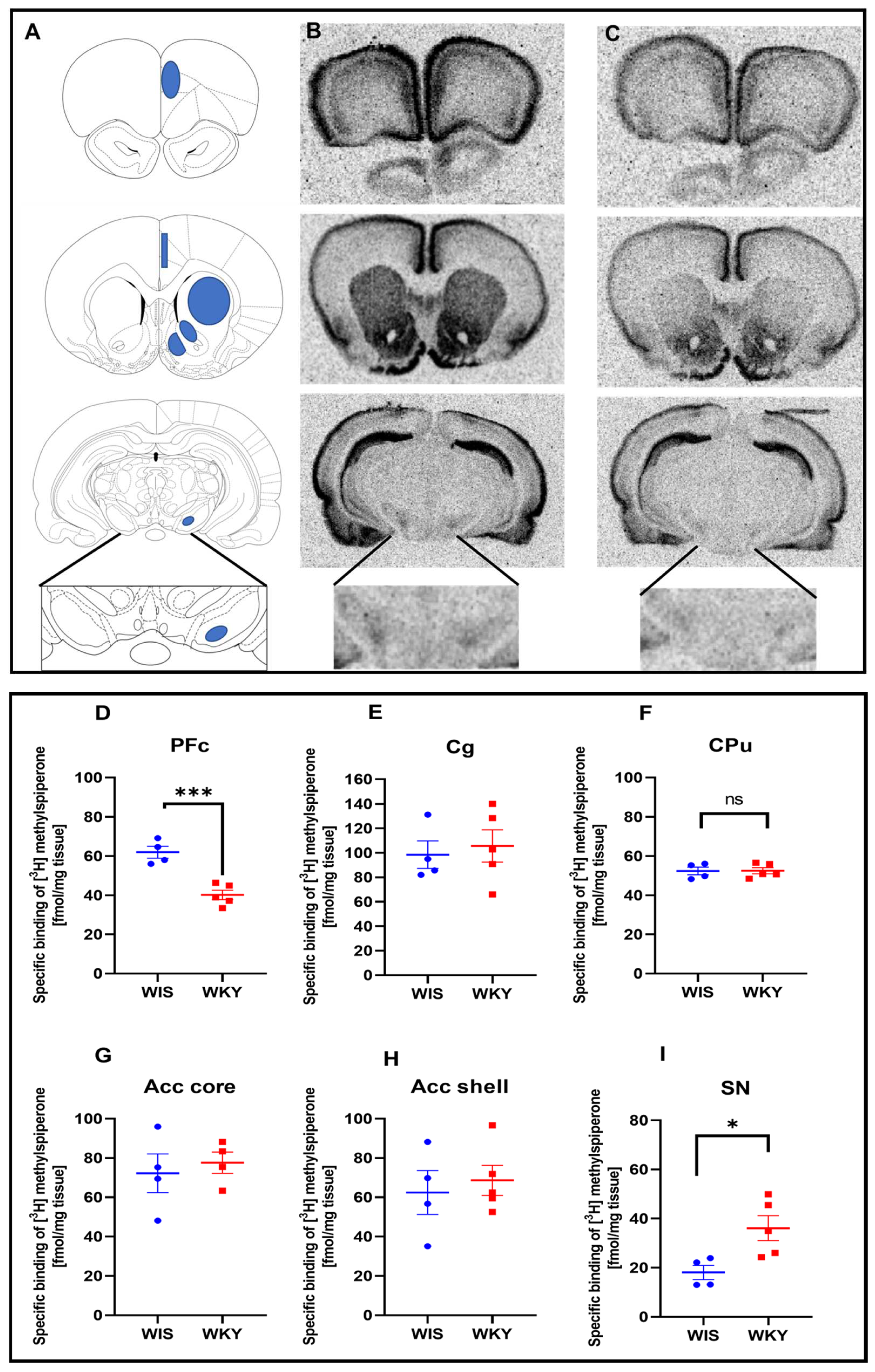 Ijms 24 05941 g001 Ijms 24 05941 g001