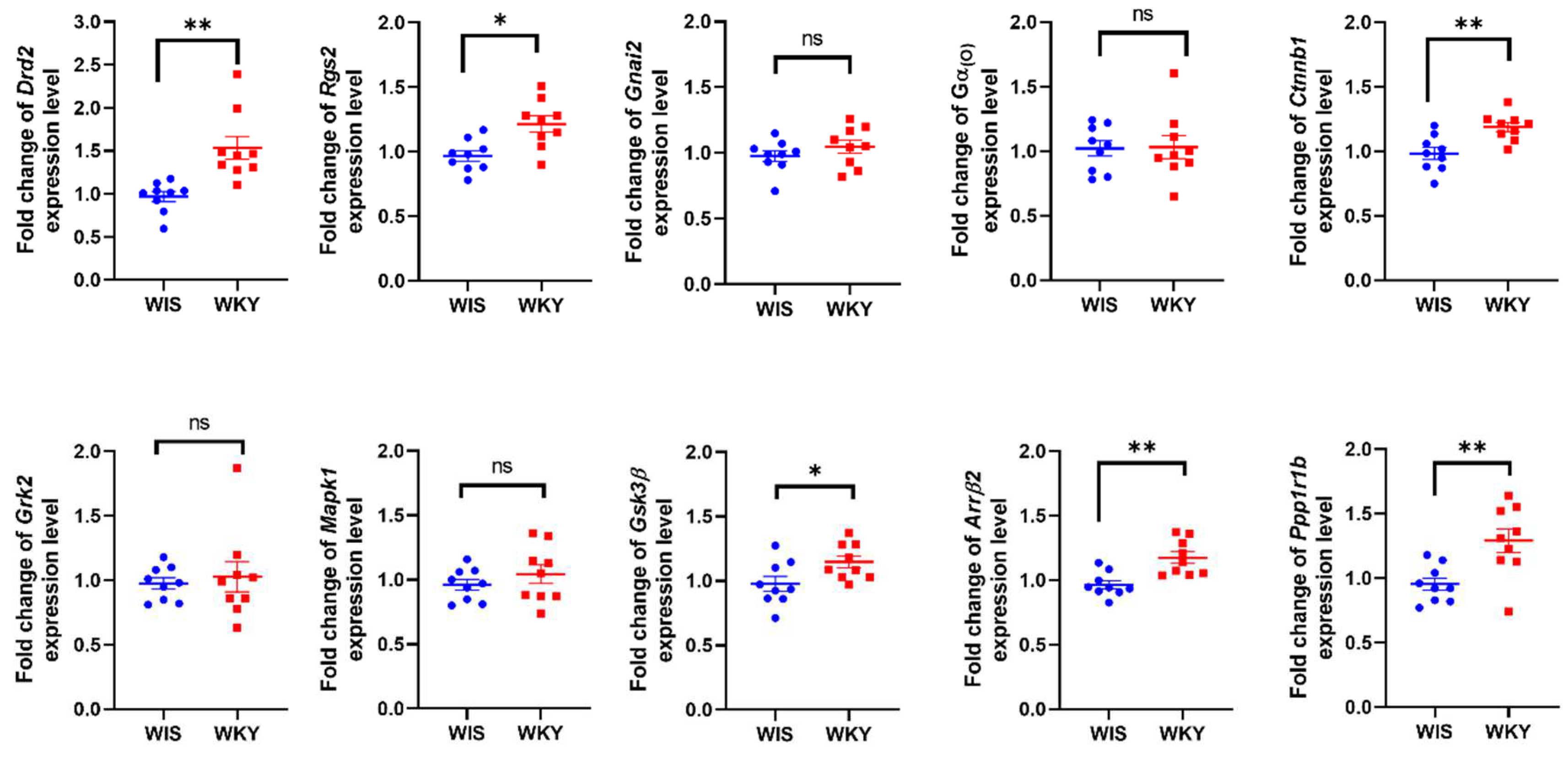 Ijms 24 05941 g002 Ijms 24 05941 g002