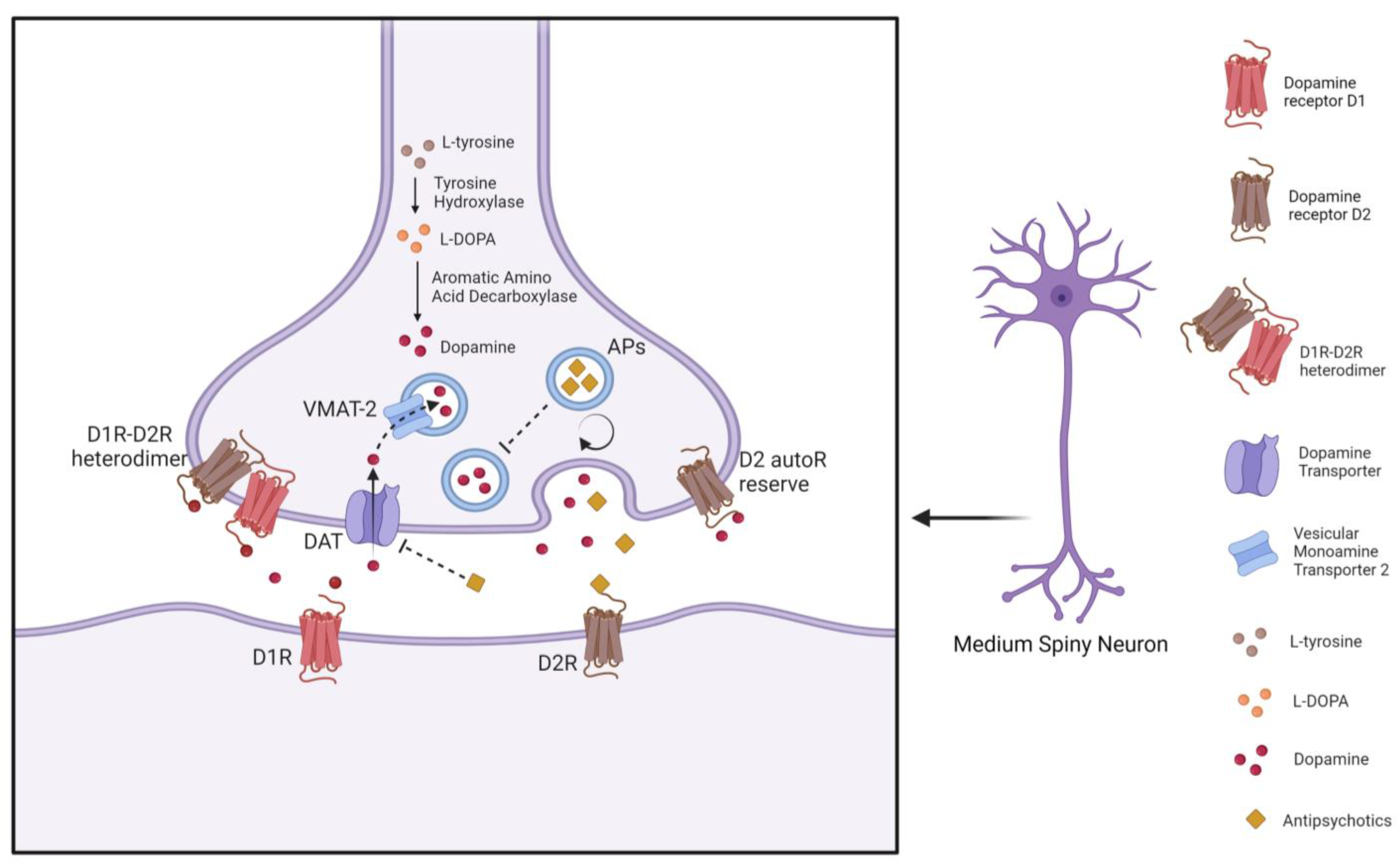 Prolonged neurological sequelae after combination treatment with lithium  and antipsychotic drugs.