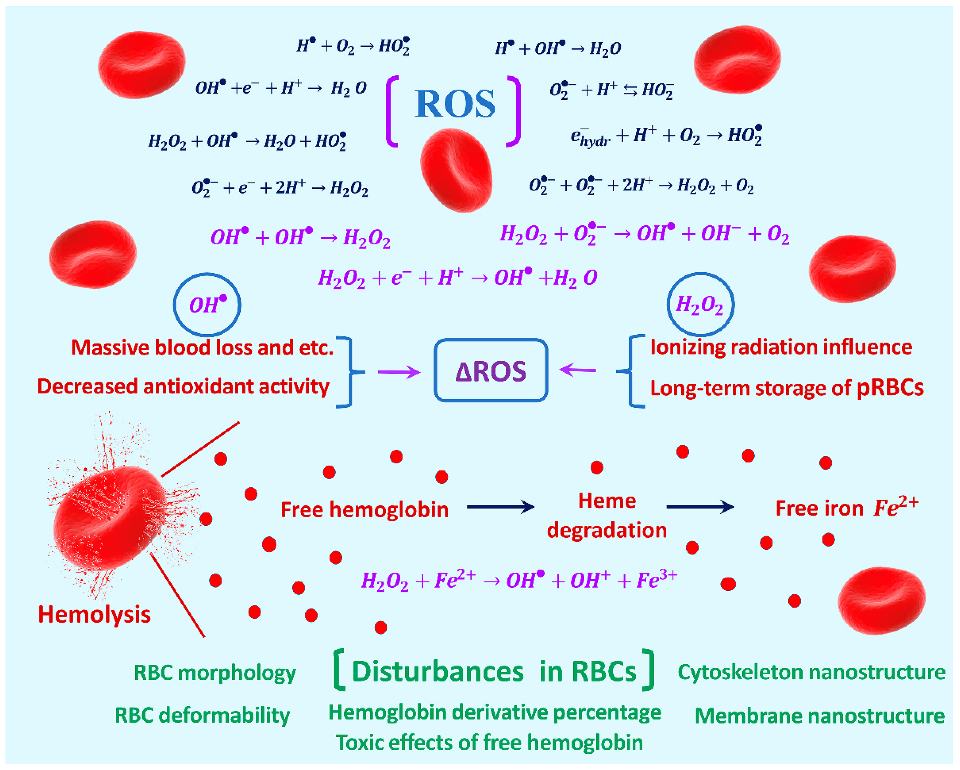 Ijms 24 05952 g001 Ijms 24 05952 g001