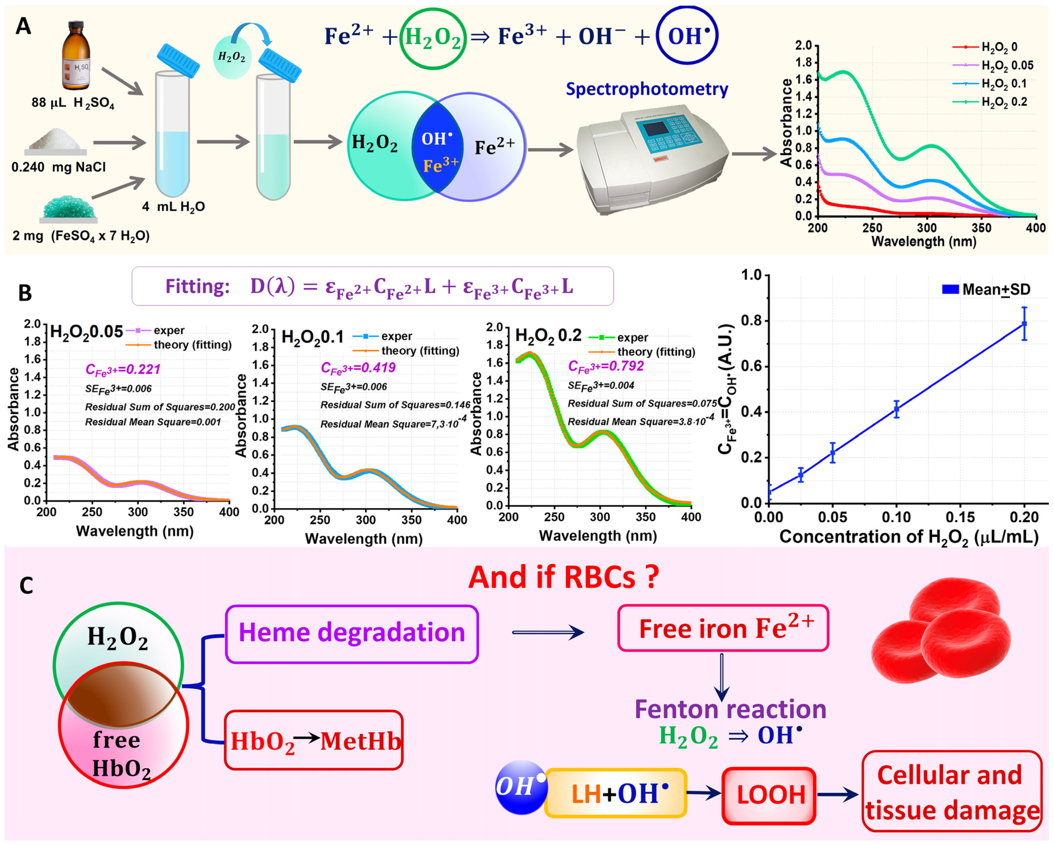 Ijms 24 05952 g002 Ijms 24 05952 g002
