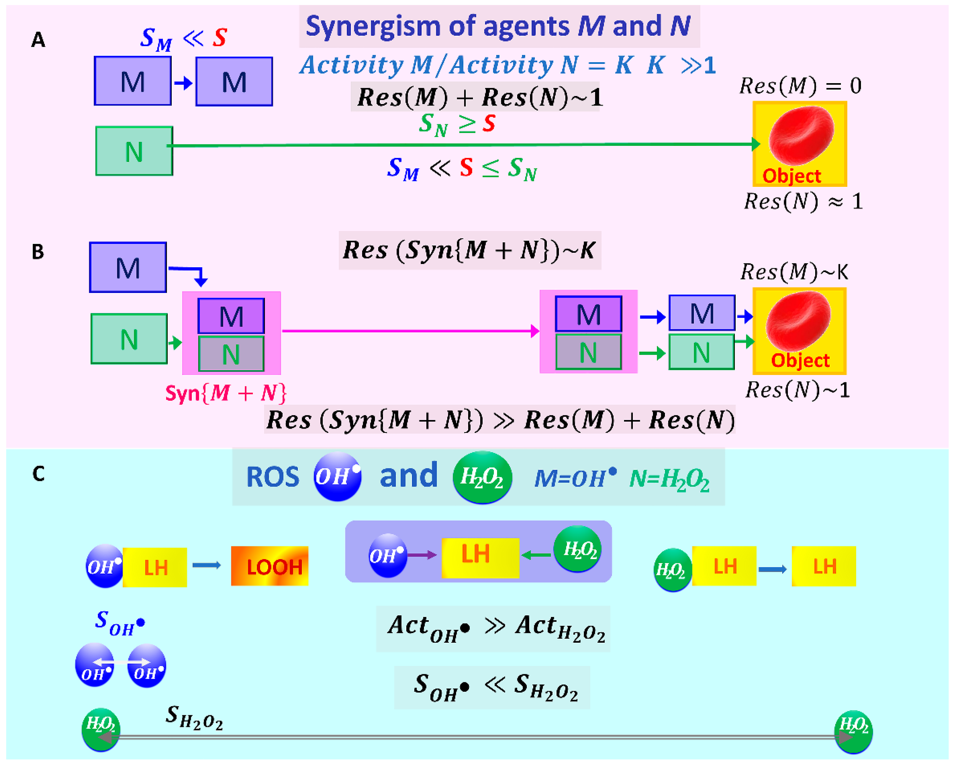 Ijms 24 05952 g003 Ijms 24 05952 g003