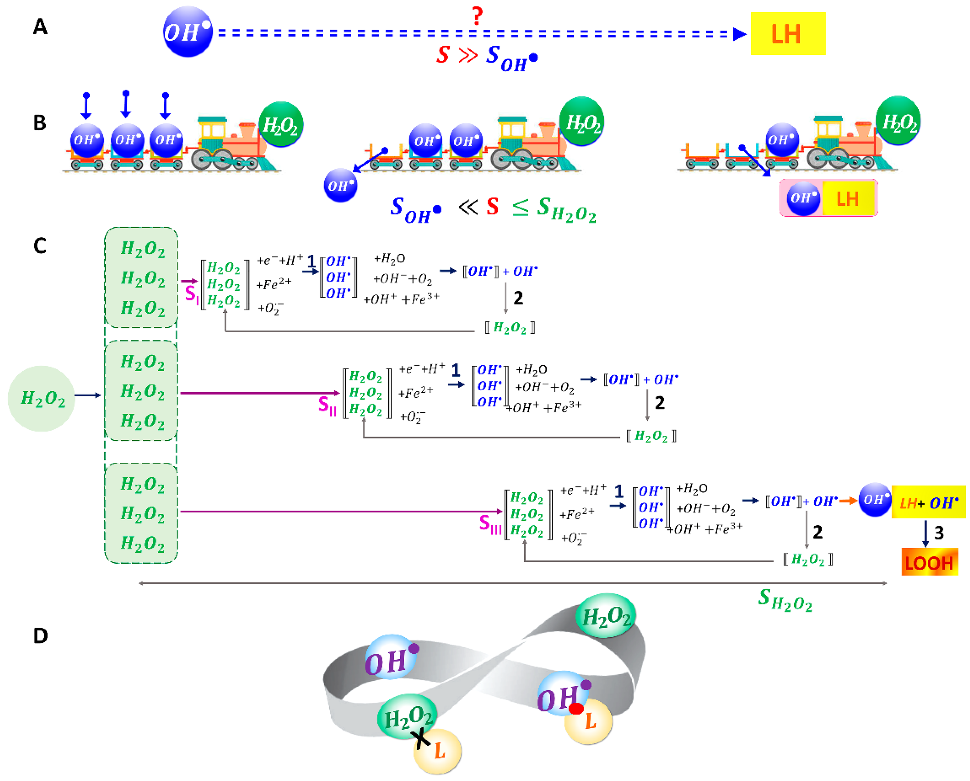 Ijms 24 05952 g004 Ijms 24 05952 g004