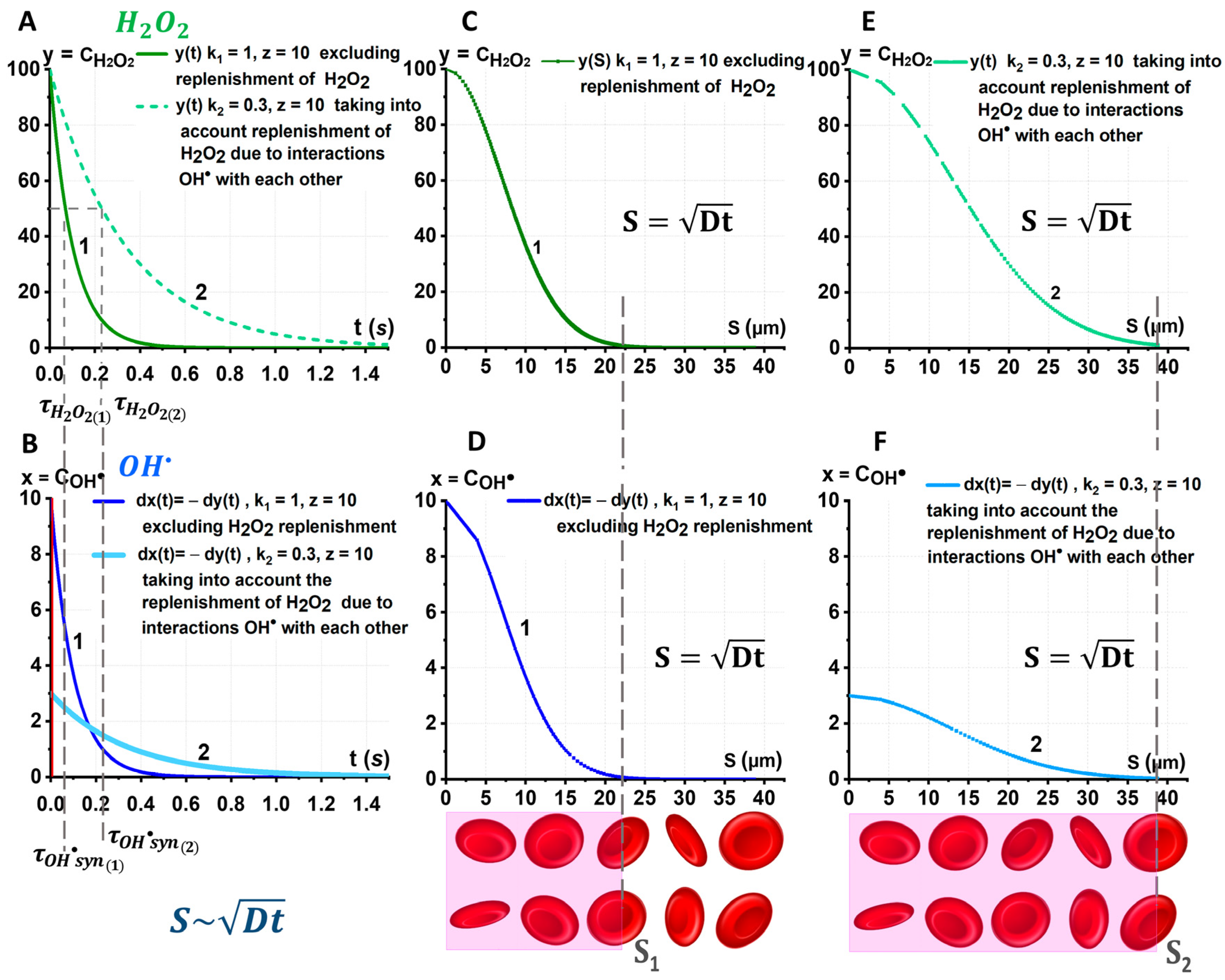Ijms 24 05952 g007 Ijms 24 05952 g007