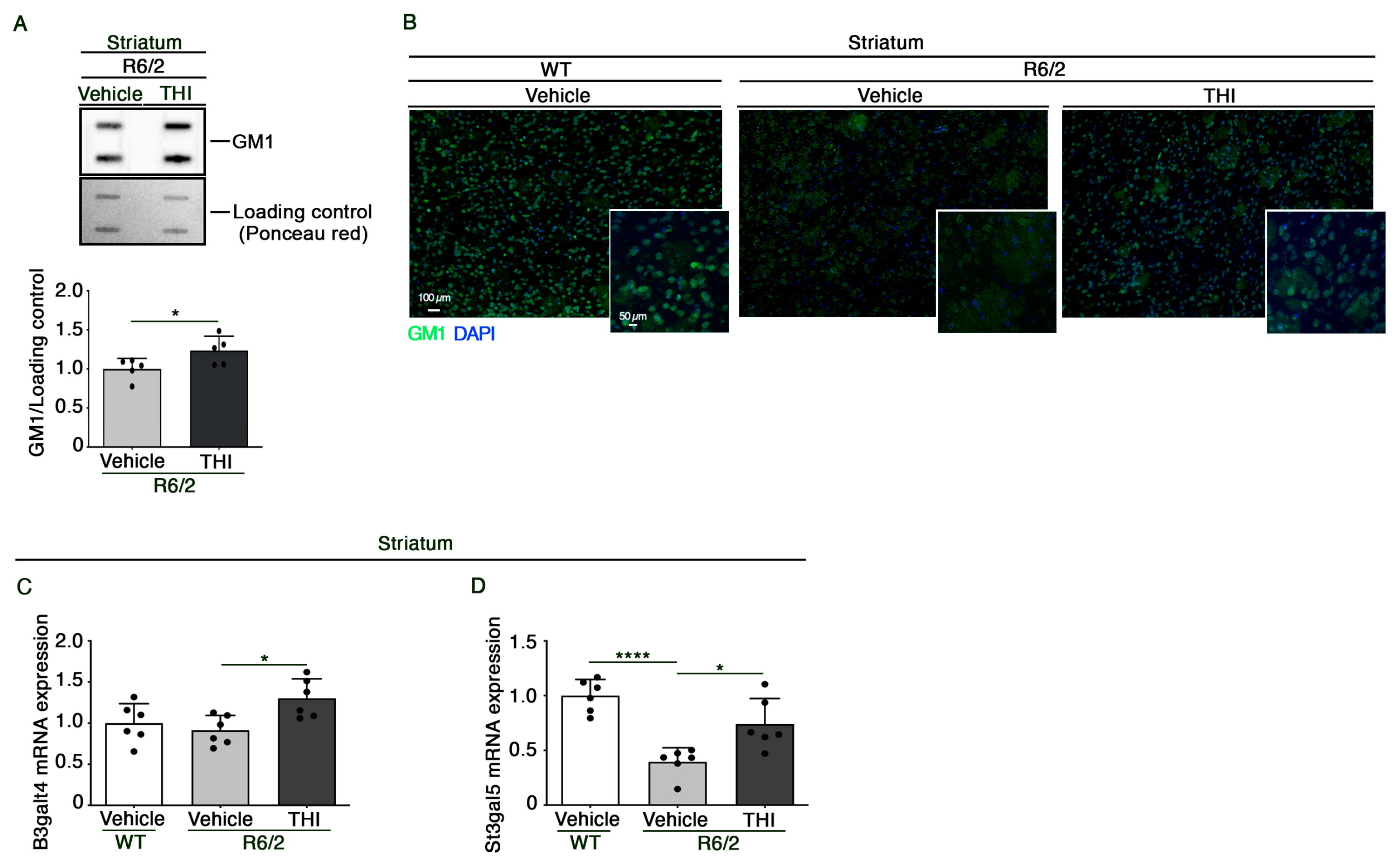 Ijms 24 05956 g003 Ijms 24 05956 g003