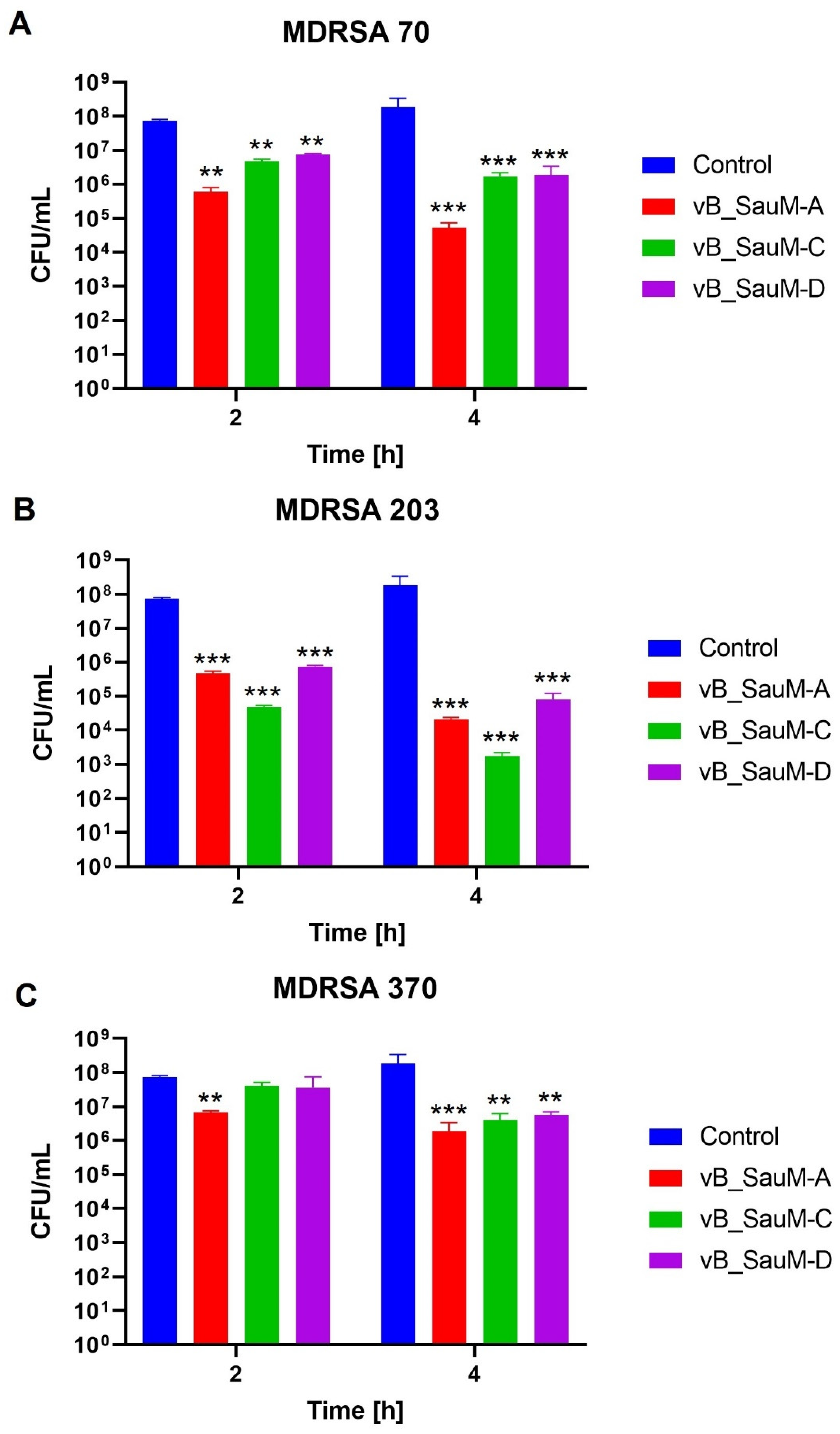 Ijms 24 05961 g004 Ijms 24 05961 g004