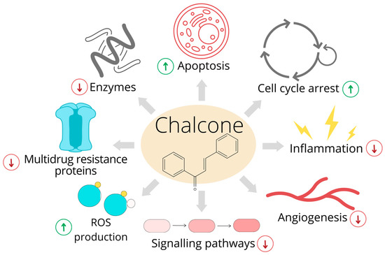 Food-Borne Chemical Carcinogens and the Evidence for Human