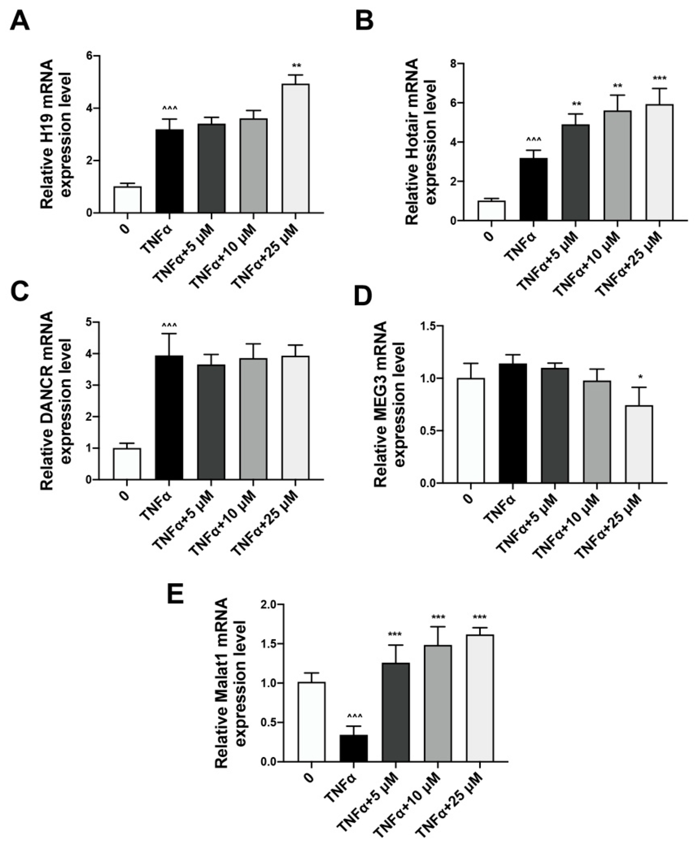 Ijms 24 05965 g004 Ijms 24 05965 g004