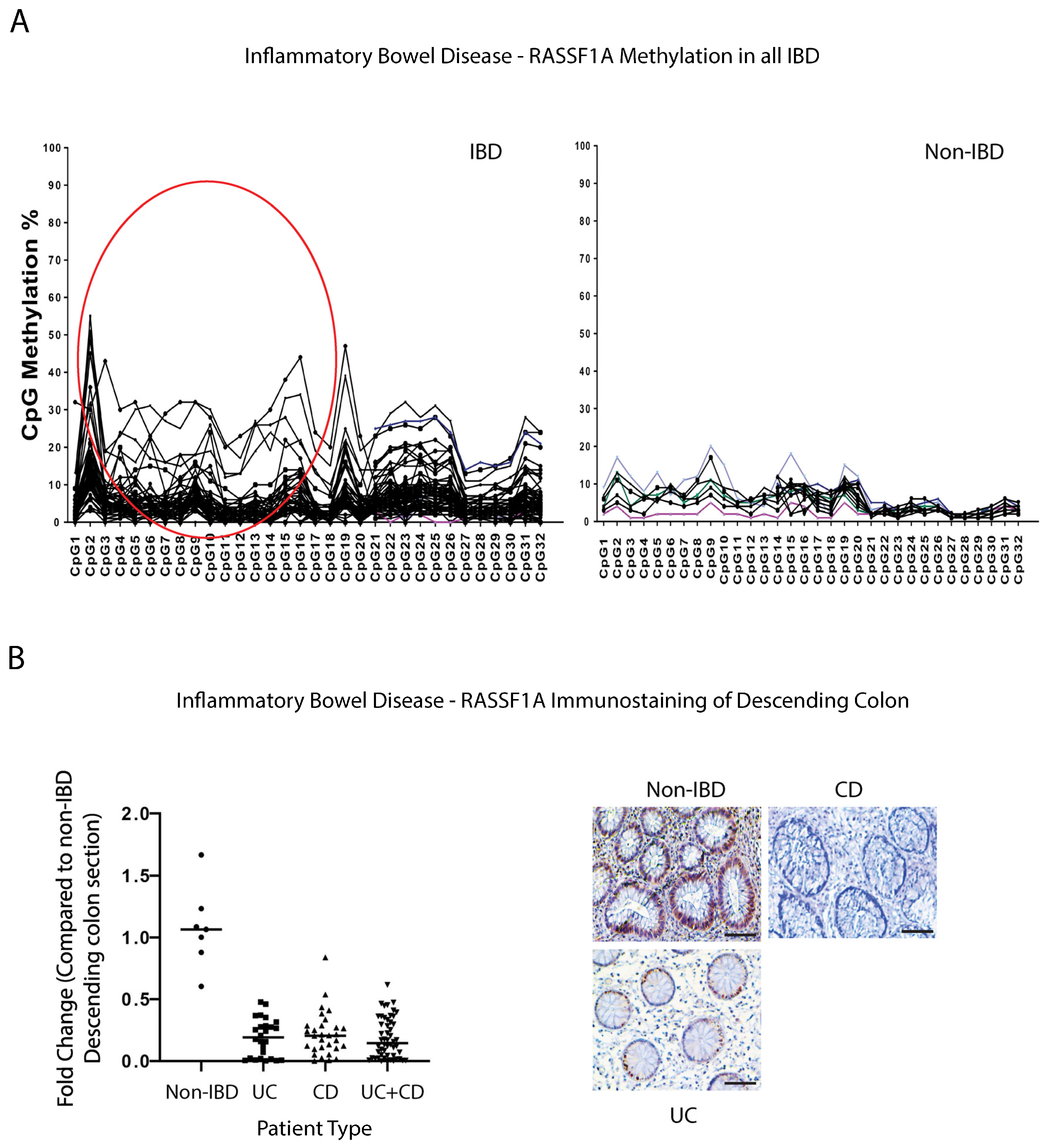 Ijms 24 05967 g001 Ijms 24 05967 g001