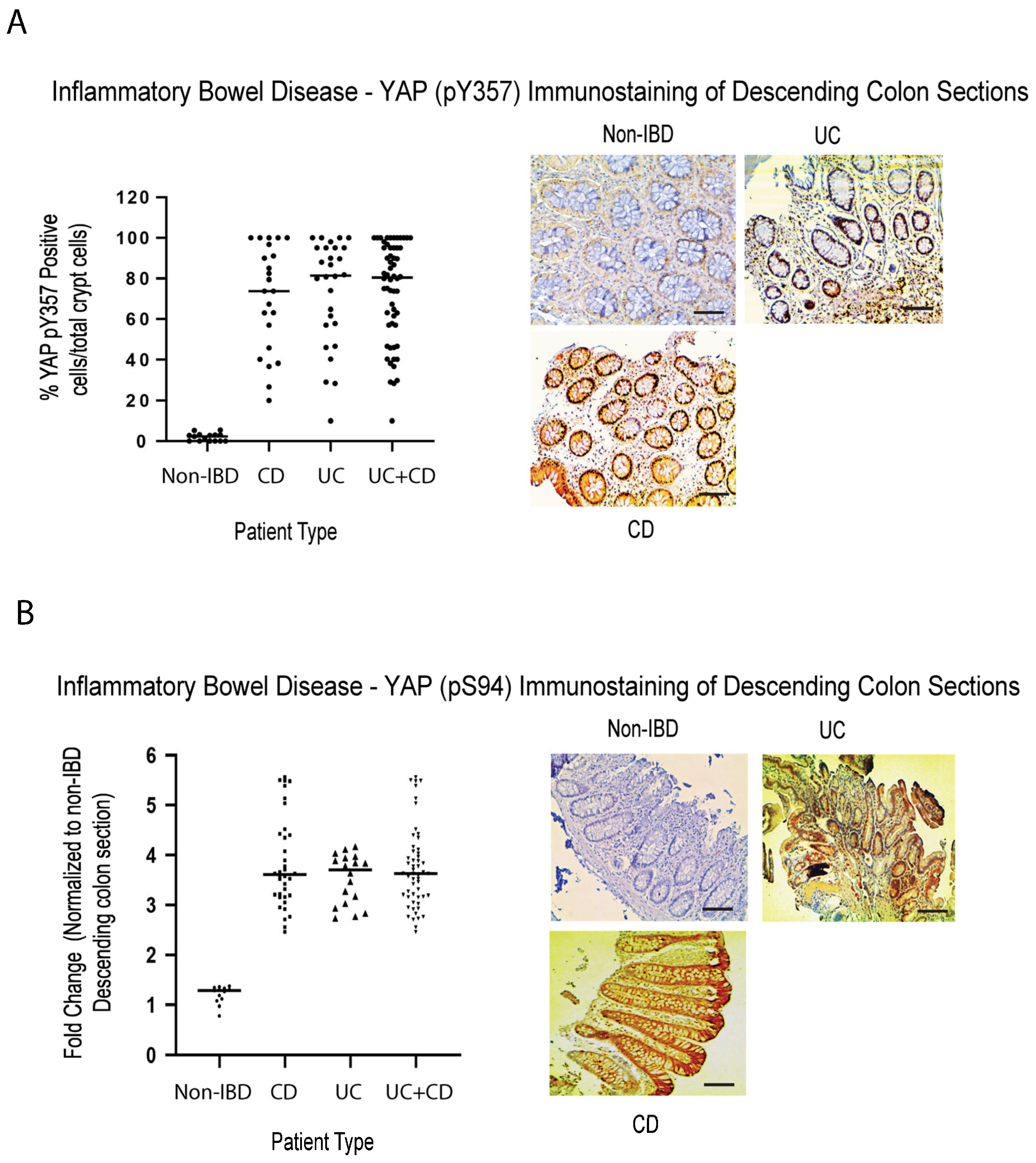 Ijms 24 05967 g004 Ijms 24 05967 g004