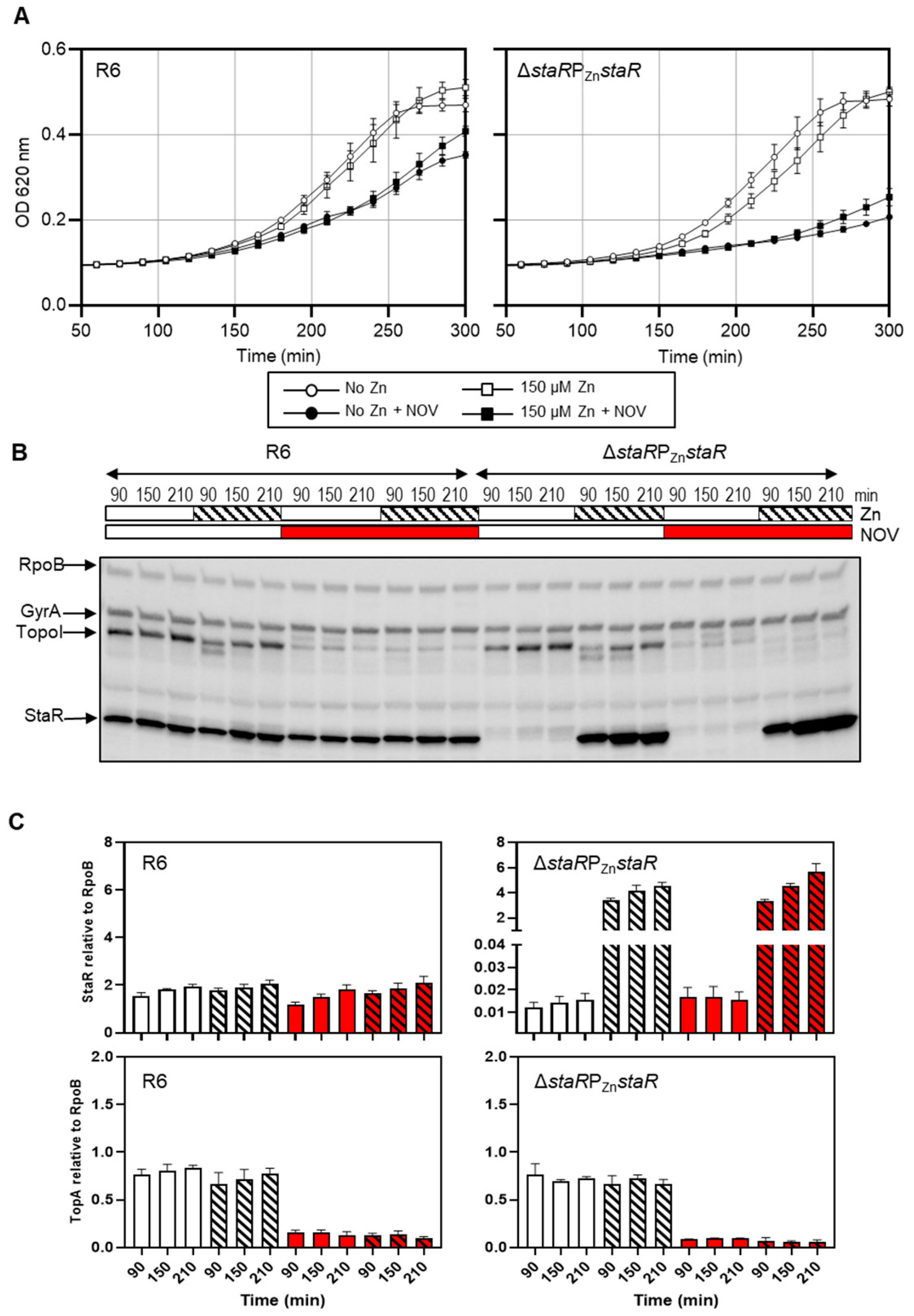 Ijms 24 05973 g002 Ijms 24 05973 g002