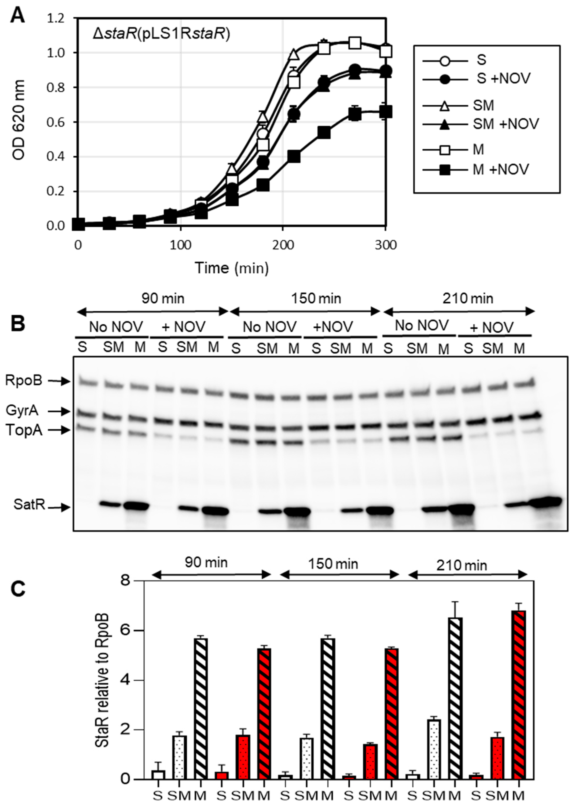 Ijms 24 05973 g003 Ijms 24 05973 g003
