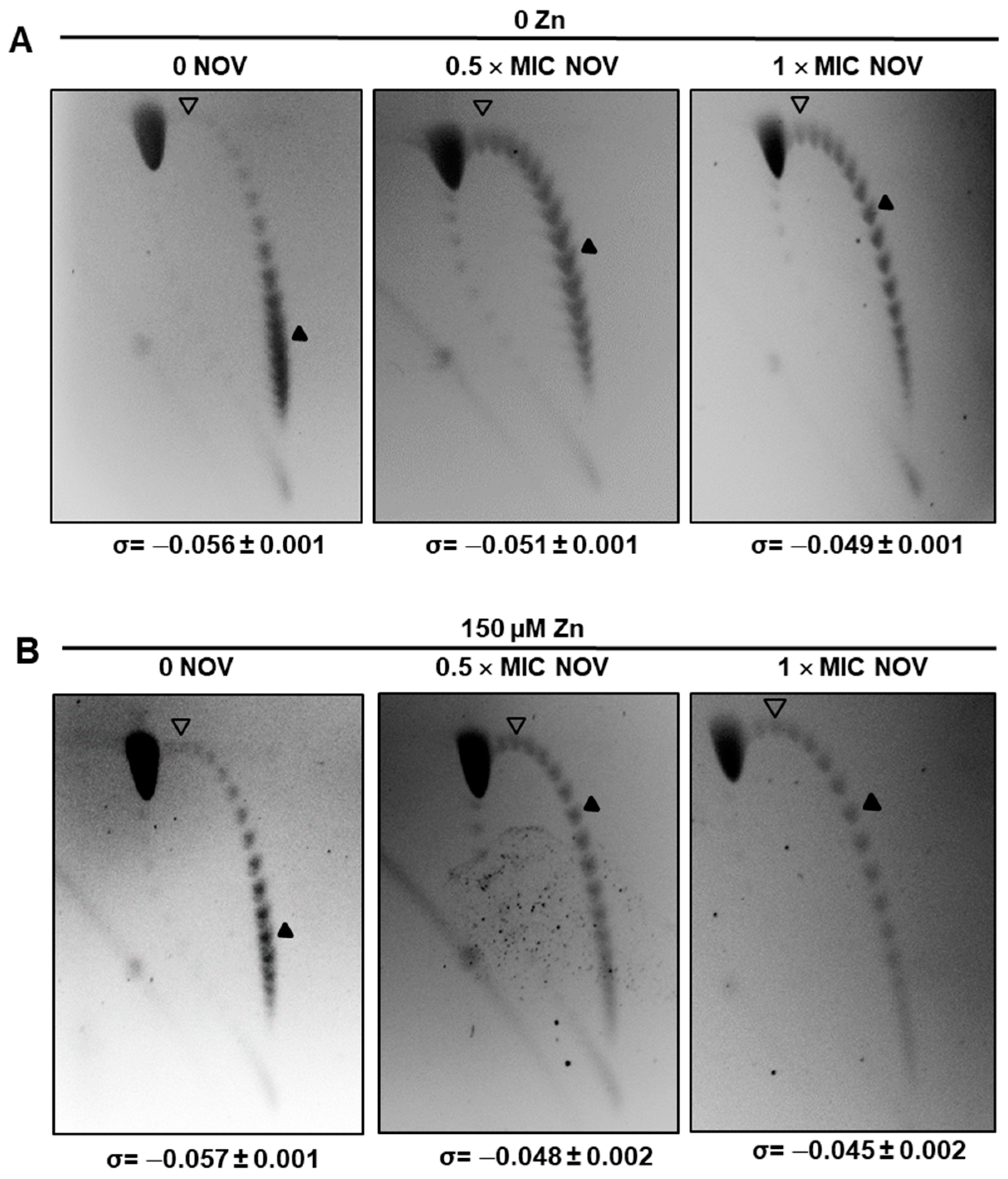 Ijms 24 05973 g004 Ijms 24 05973 g004