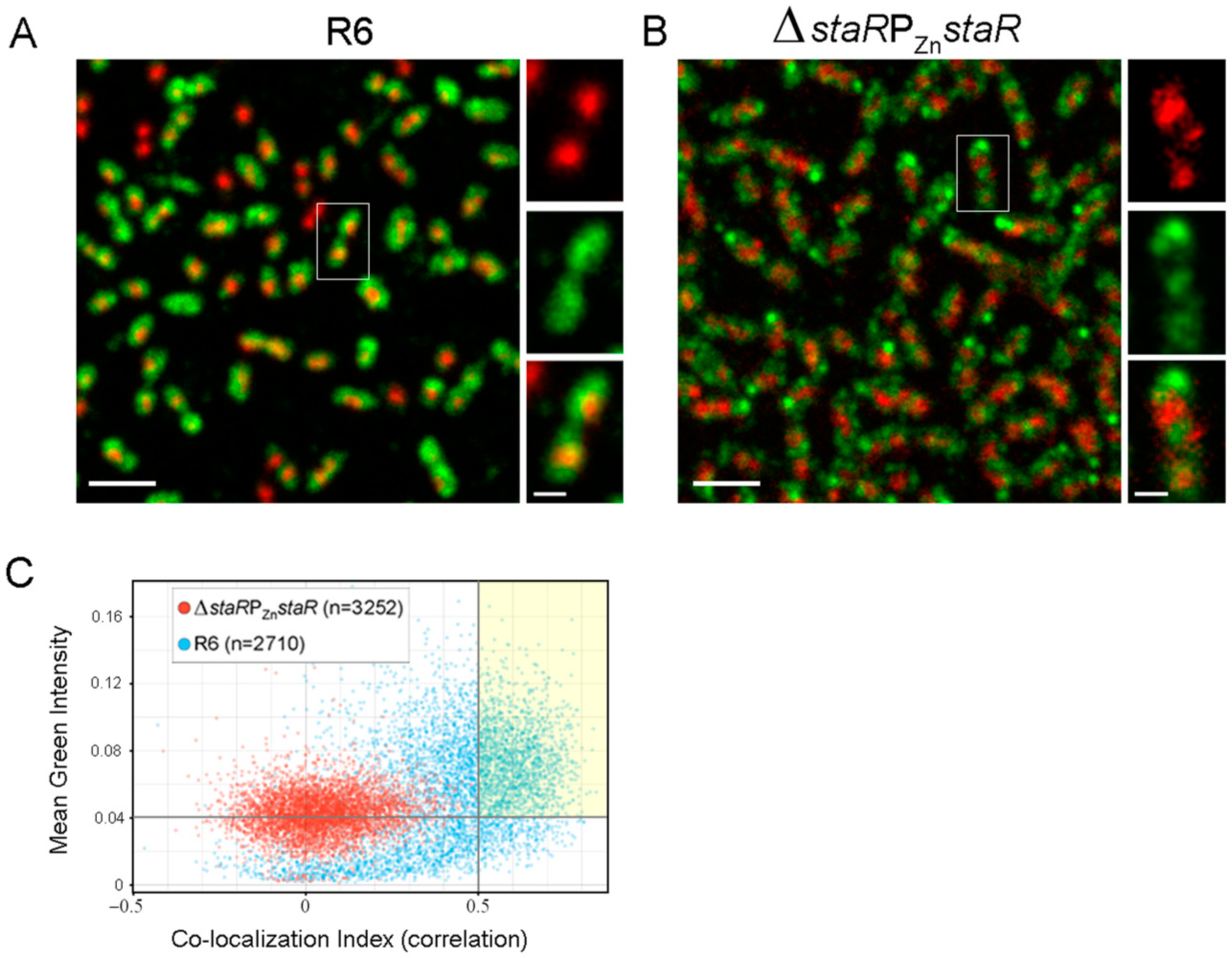 Ijms 24 05973 g005 Ijms 24 05973 g005