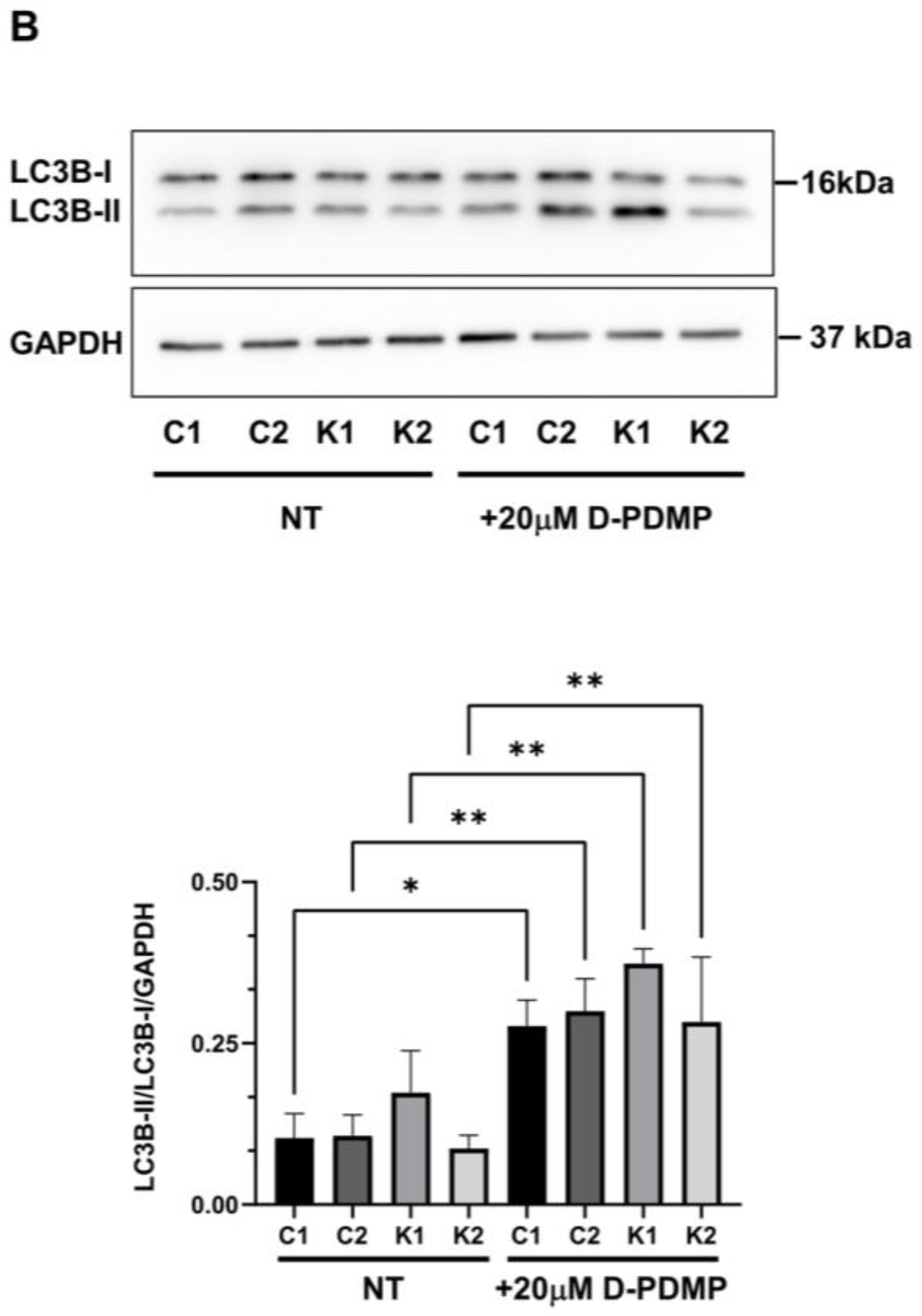 Ijms 24 05984 g005b Ijms 24 05984 g005b