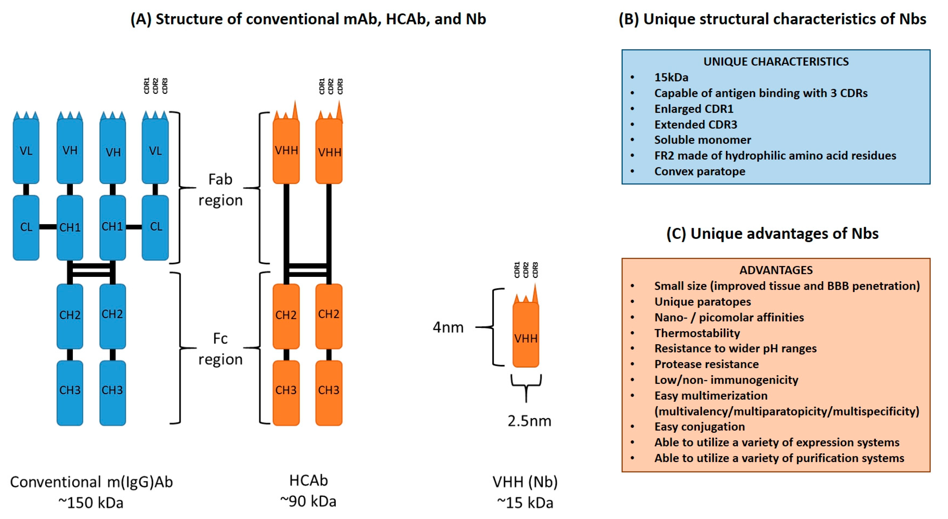 IJMS | Free Full-Text | Nanobodies: A Review Generation, Diagnostics Therapeutics