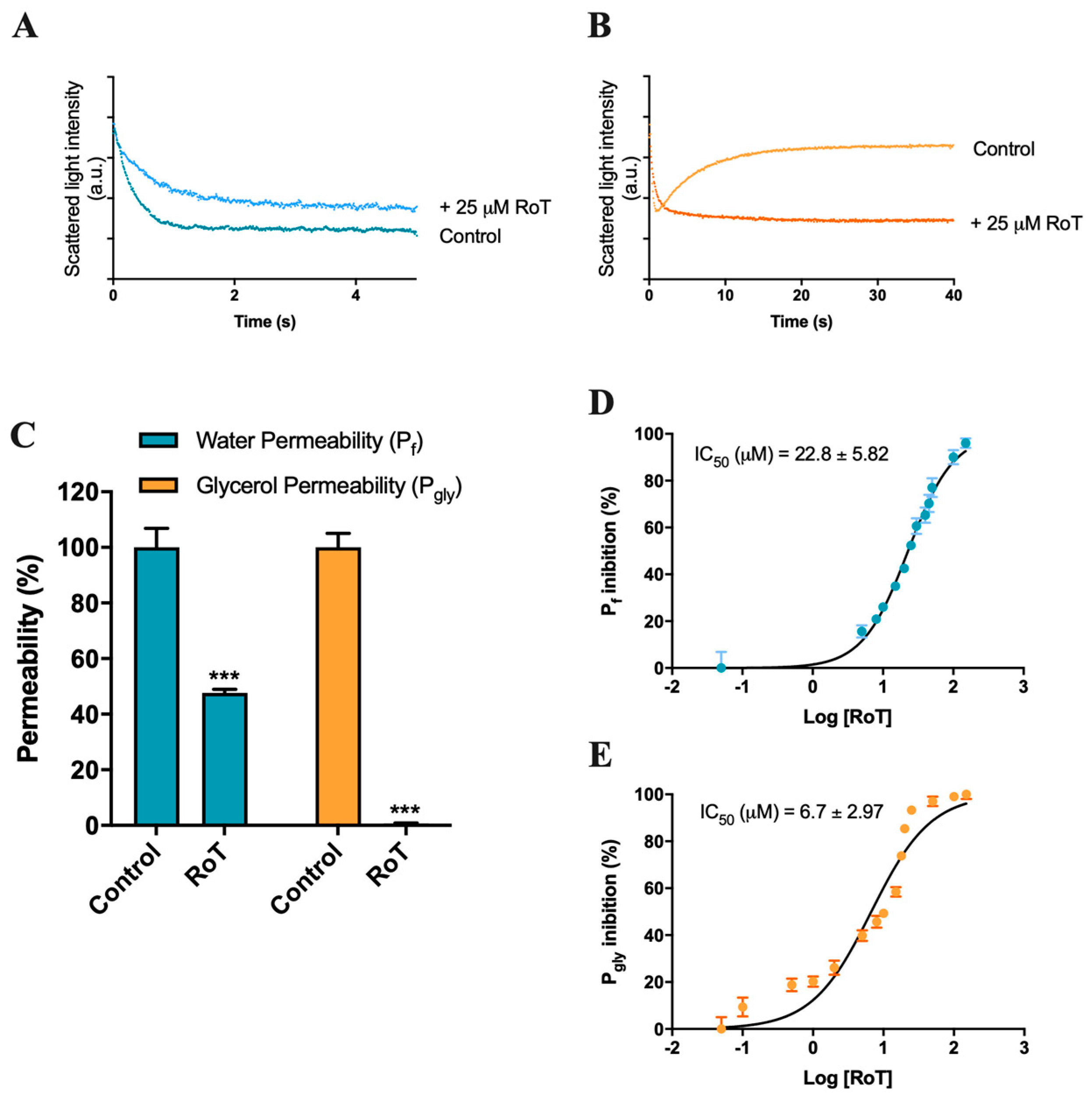 Ijms 24 06004 g002 Ijms 24 06004 g002