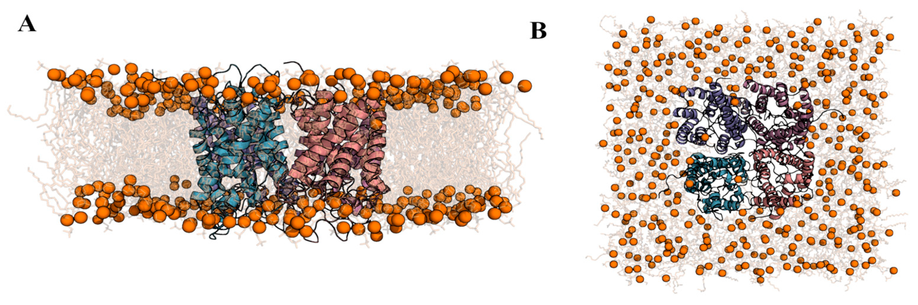 Ijms 24 06004 g004 Ijms 24 06004 g004