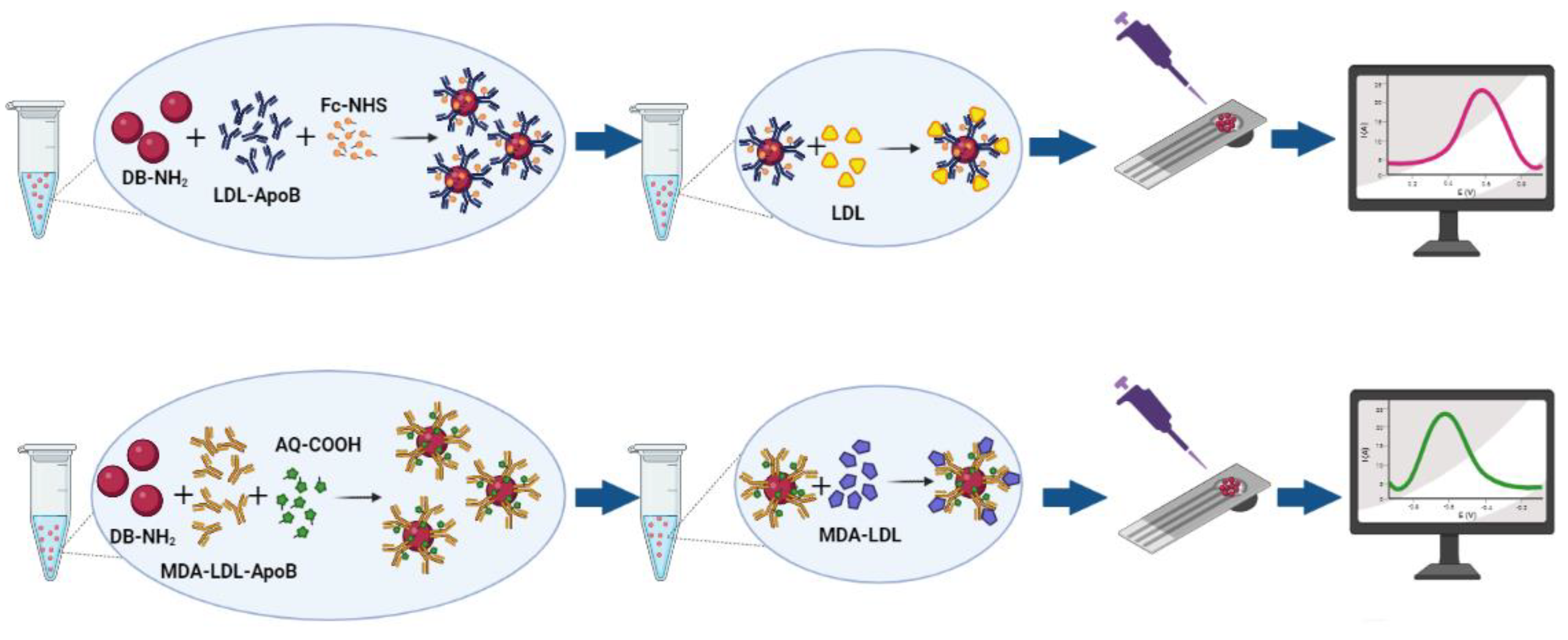 Ijms 24 06005 sch001