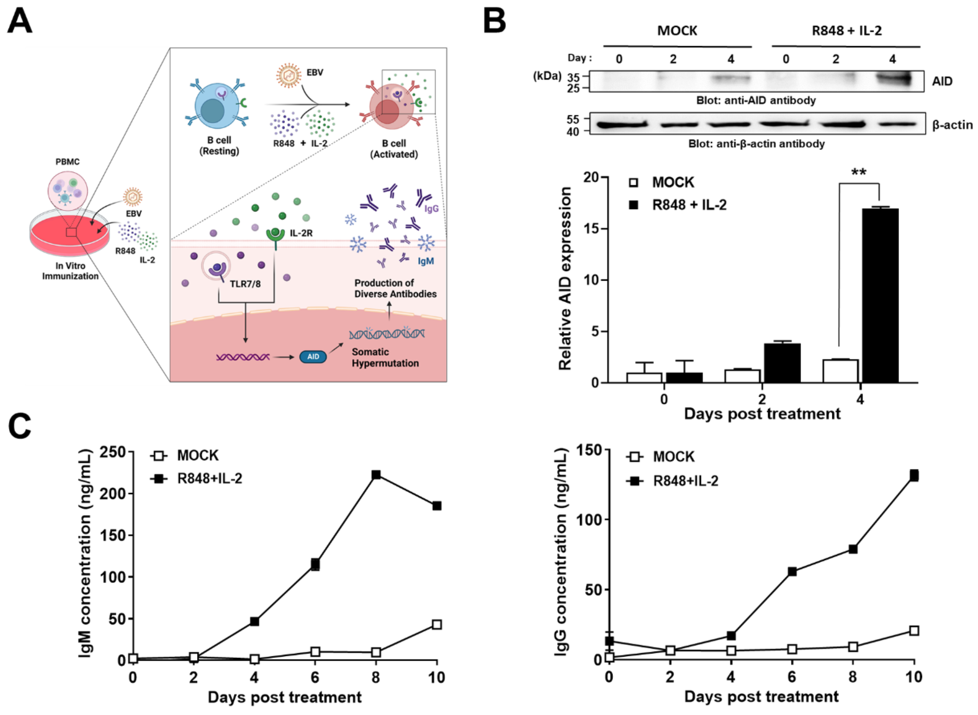 Ijms 24 06011 g001 Ijms 24 06011 g001