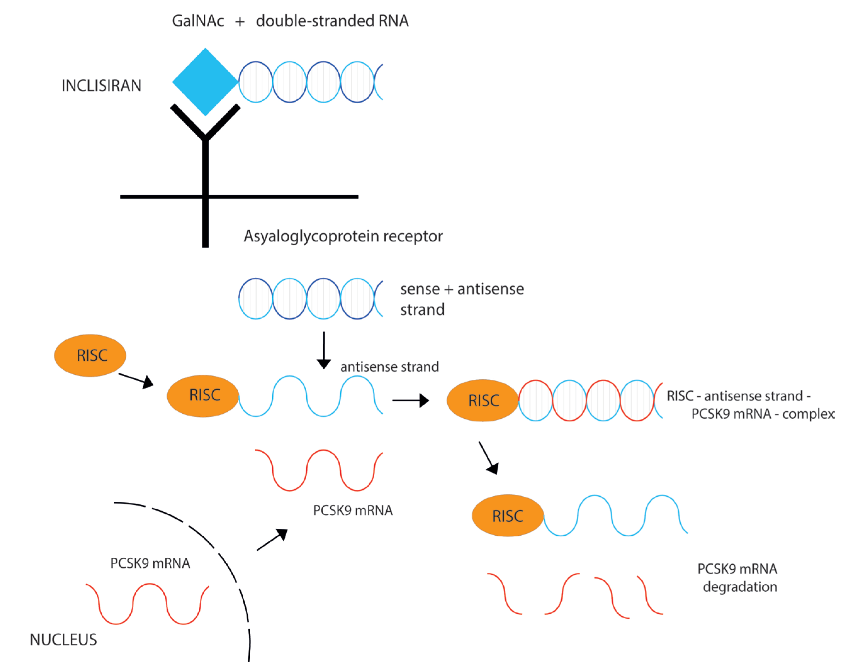 Ijms 24 06012 g002 Ijms 24 06012 g002