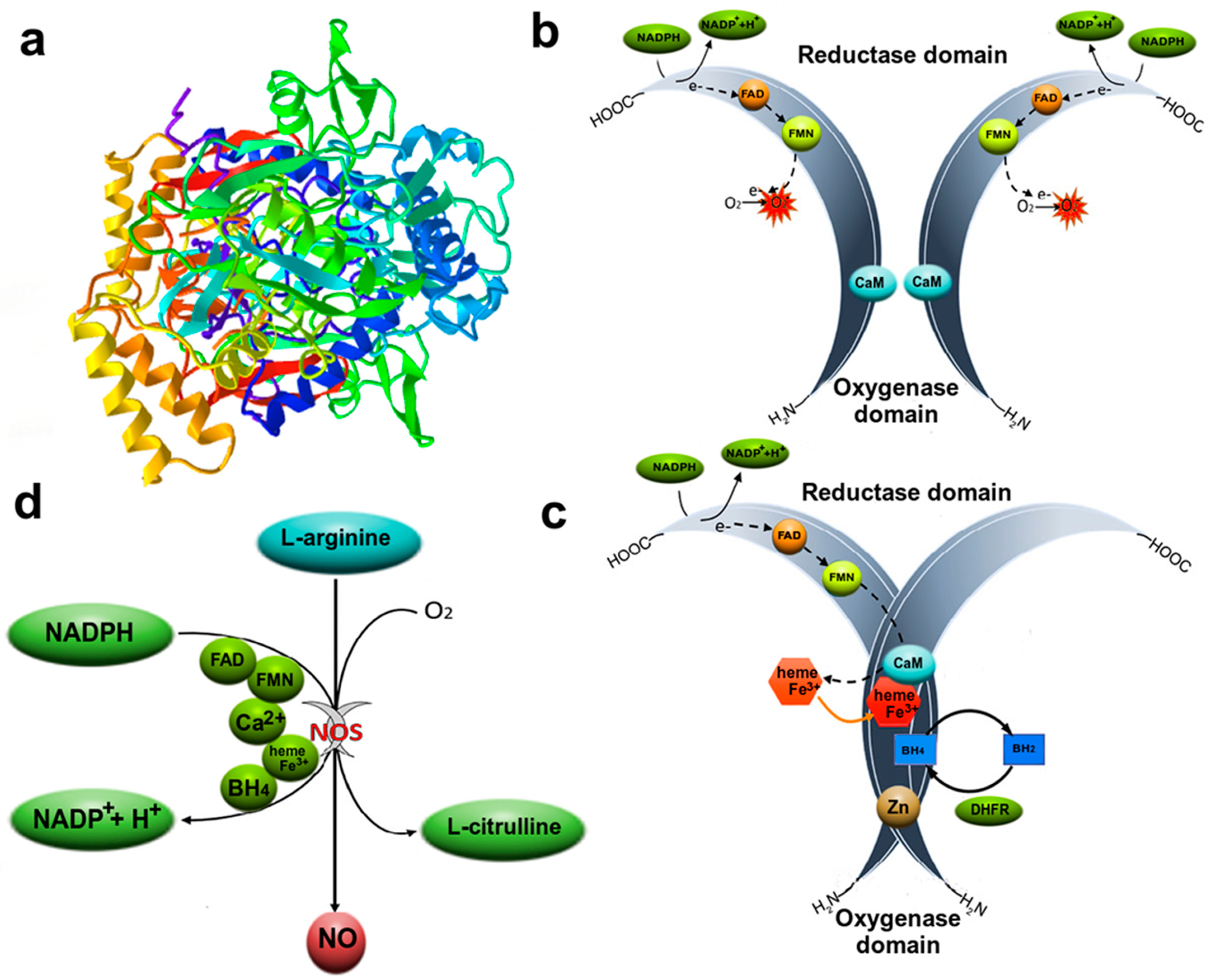 Ijms 24 06014 g002 Ijms 24 06014 g002