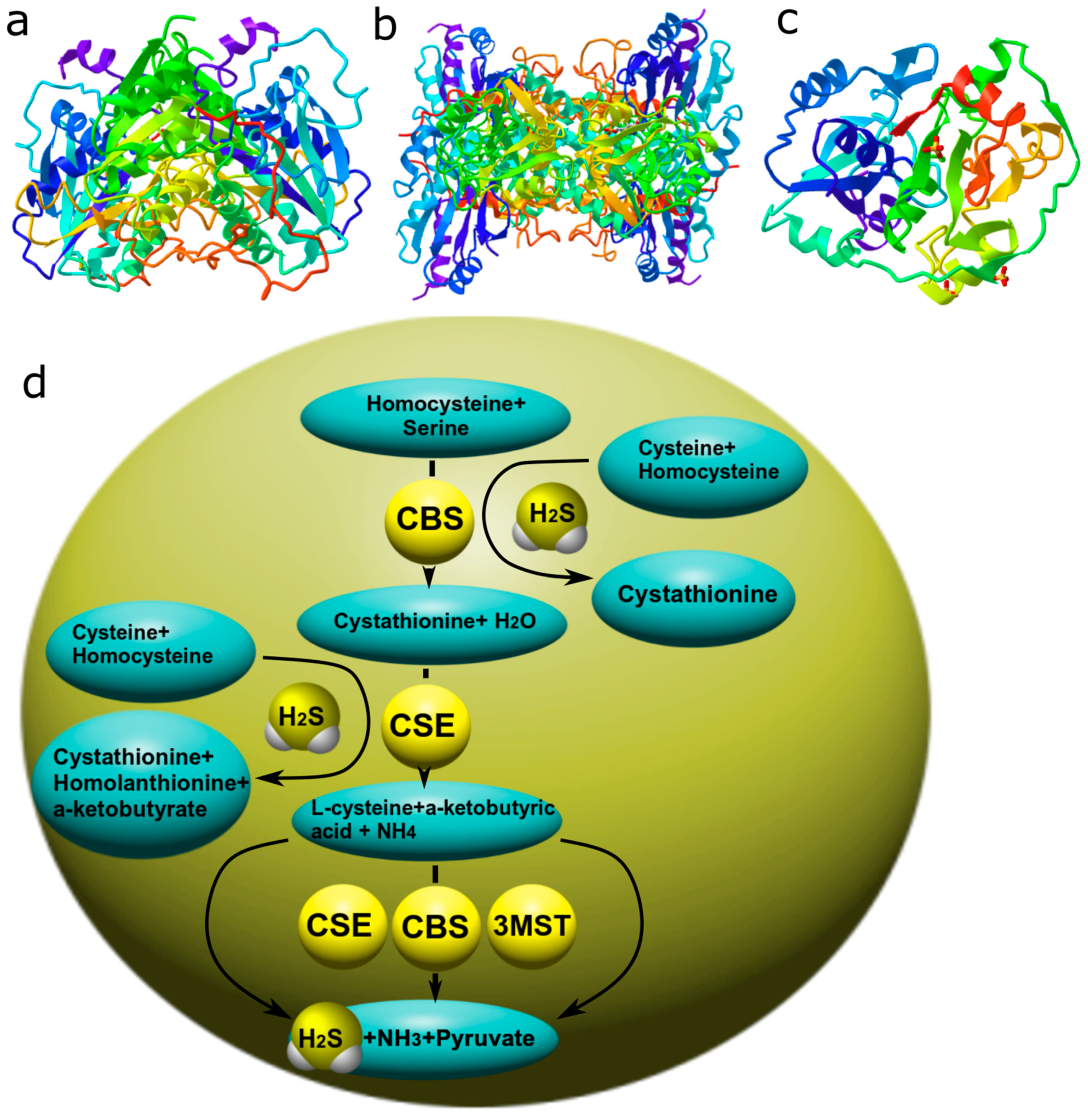 Ijms 24 06014 g004 Ijms 24 06014 g004
