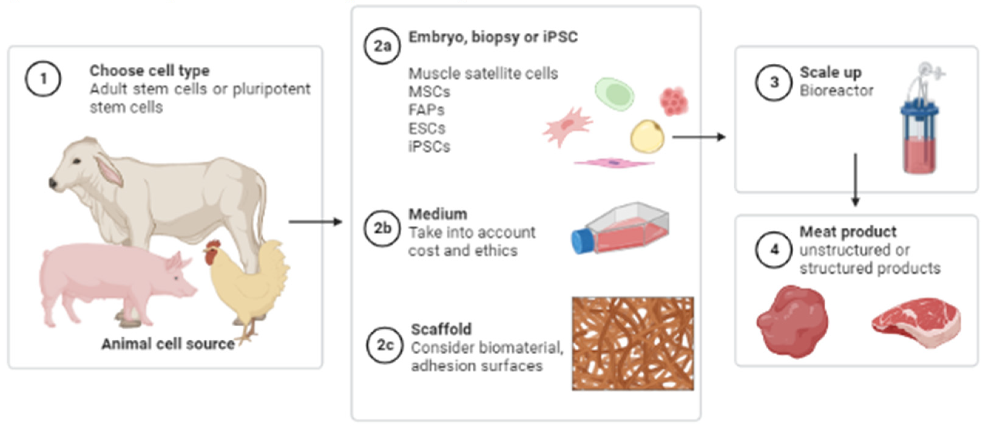 Ijms 24 06033 g003 Ijms 24 06033 g003