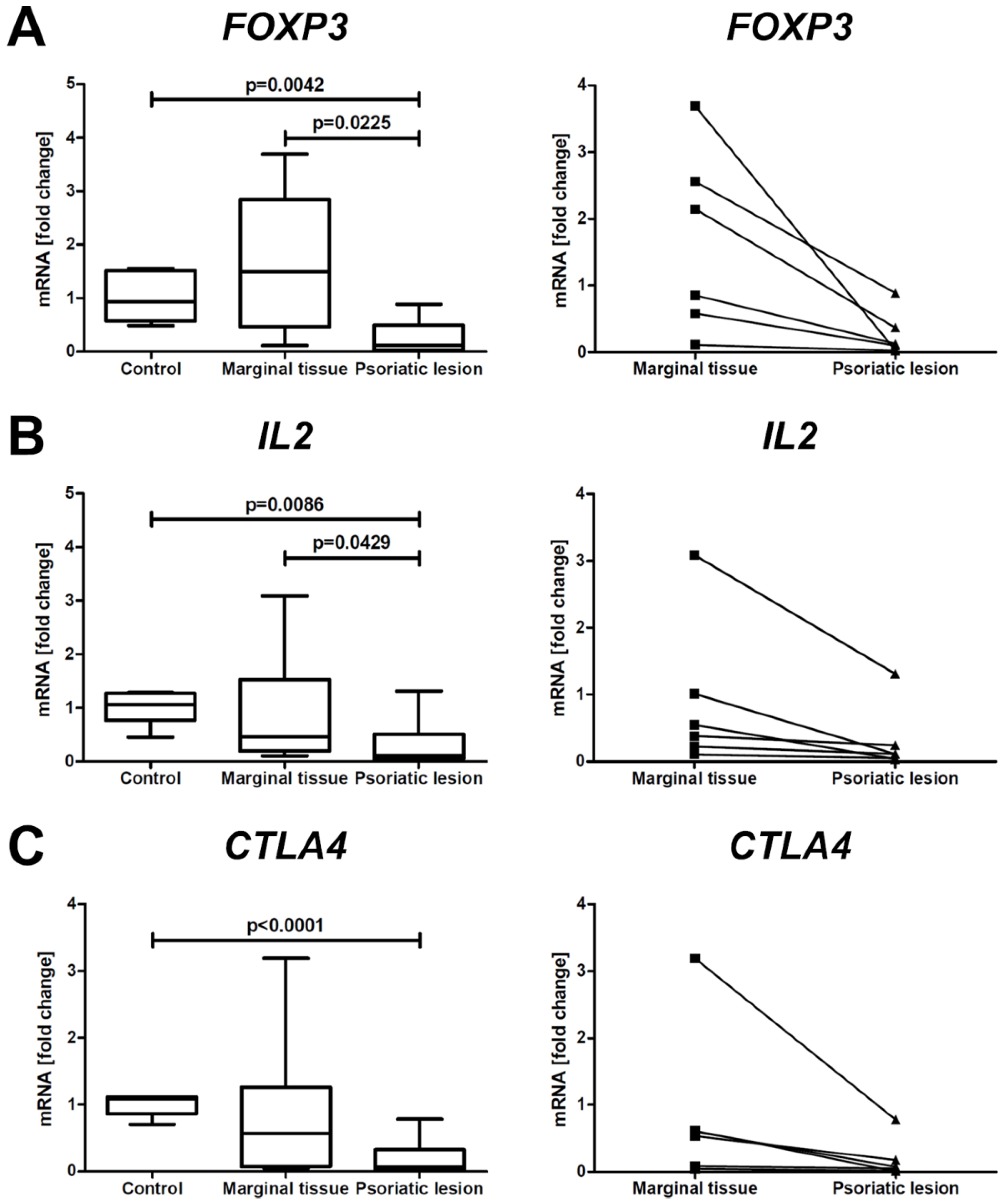 Ijms 24 06061 g002 Ijms 24 06061 g002