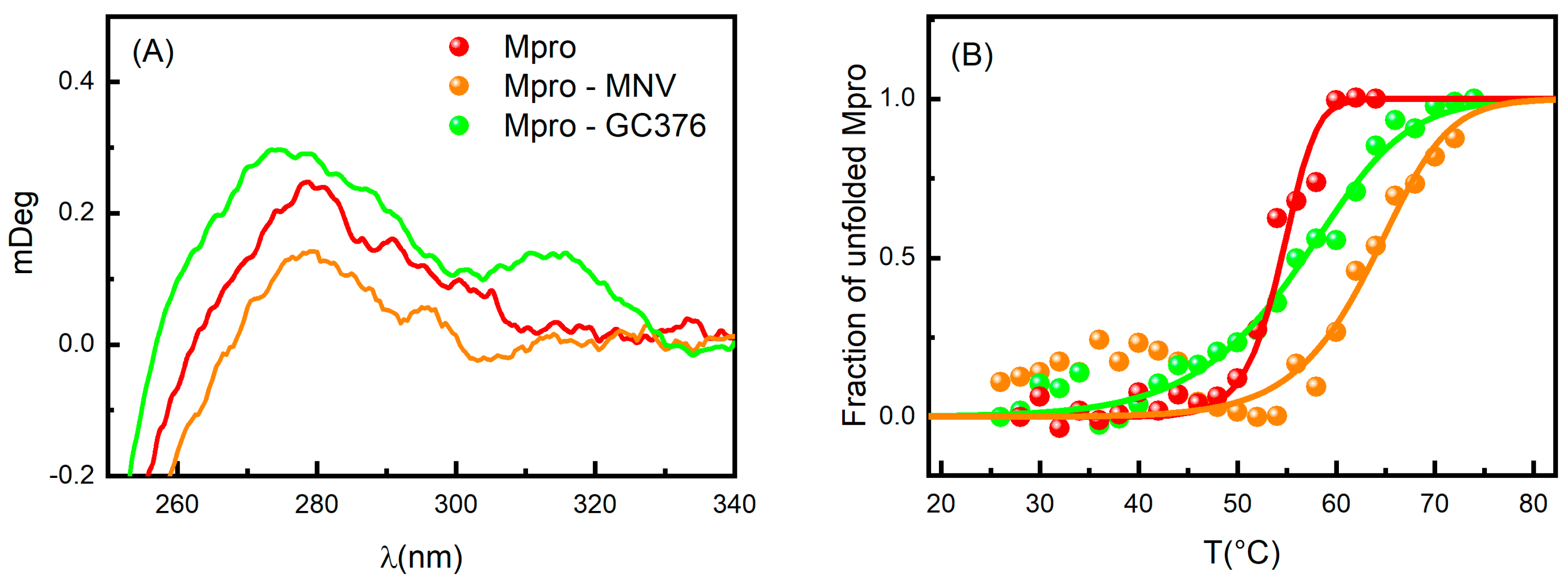 Ijms 24 06062 g003 Ijms 24 06062 g003