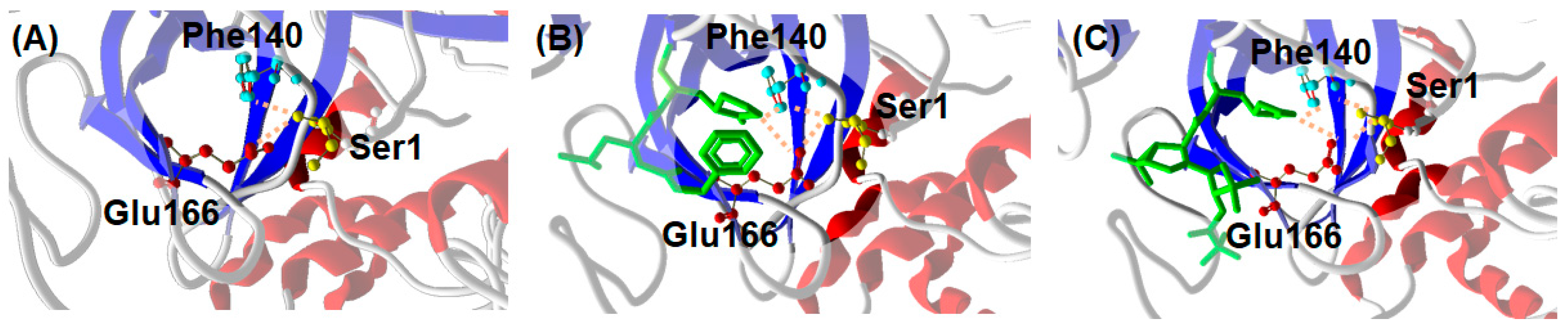 Ijms 24 06062 g007 Ijms 24 06062 g007